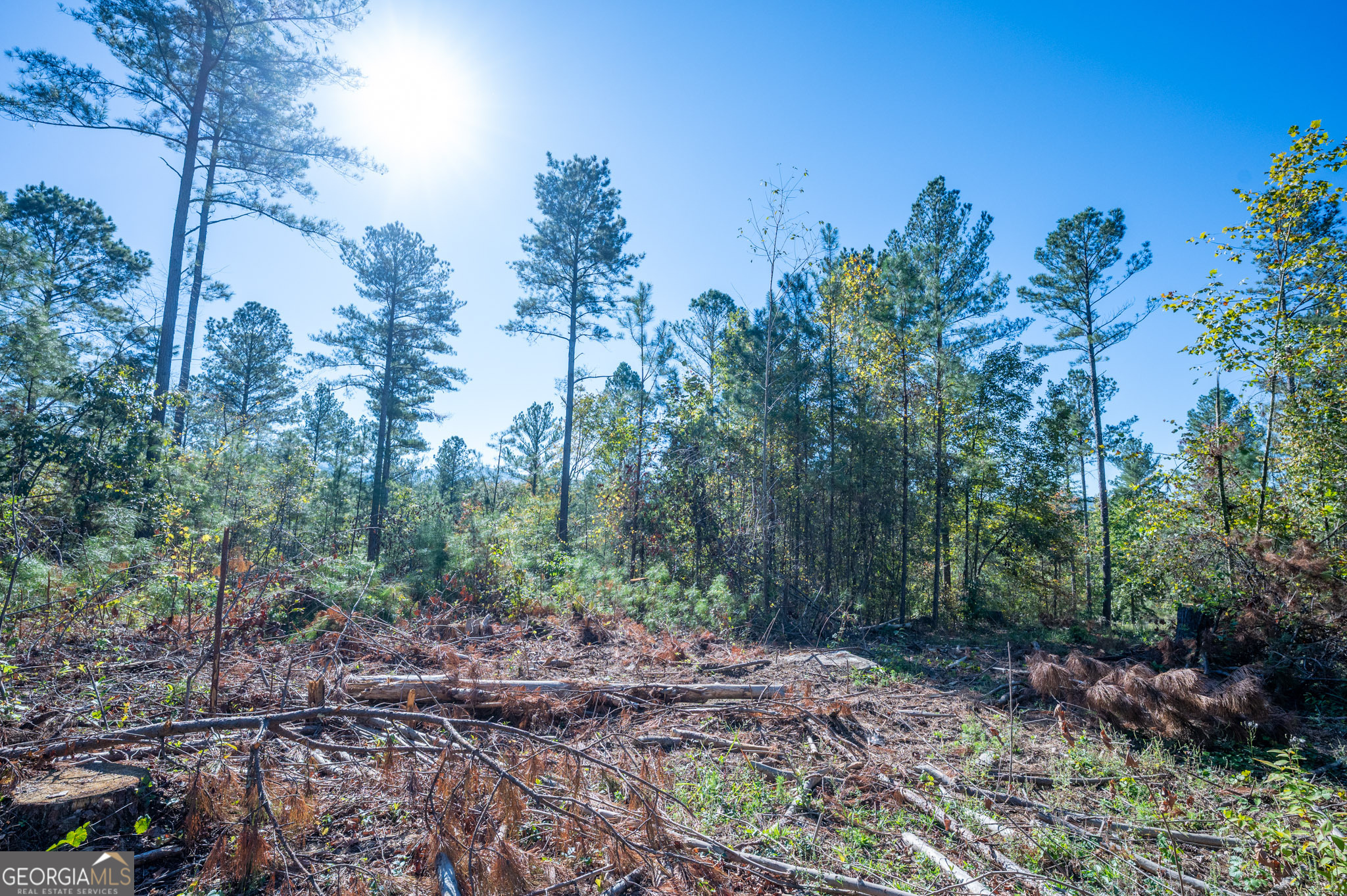 3867 Highway 140 NE Rydal GA 30171