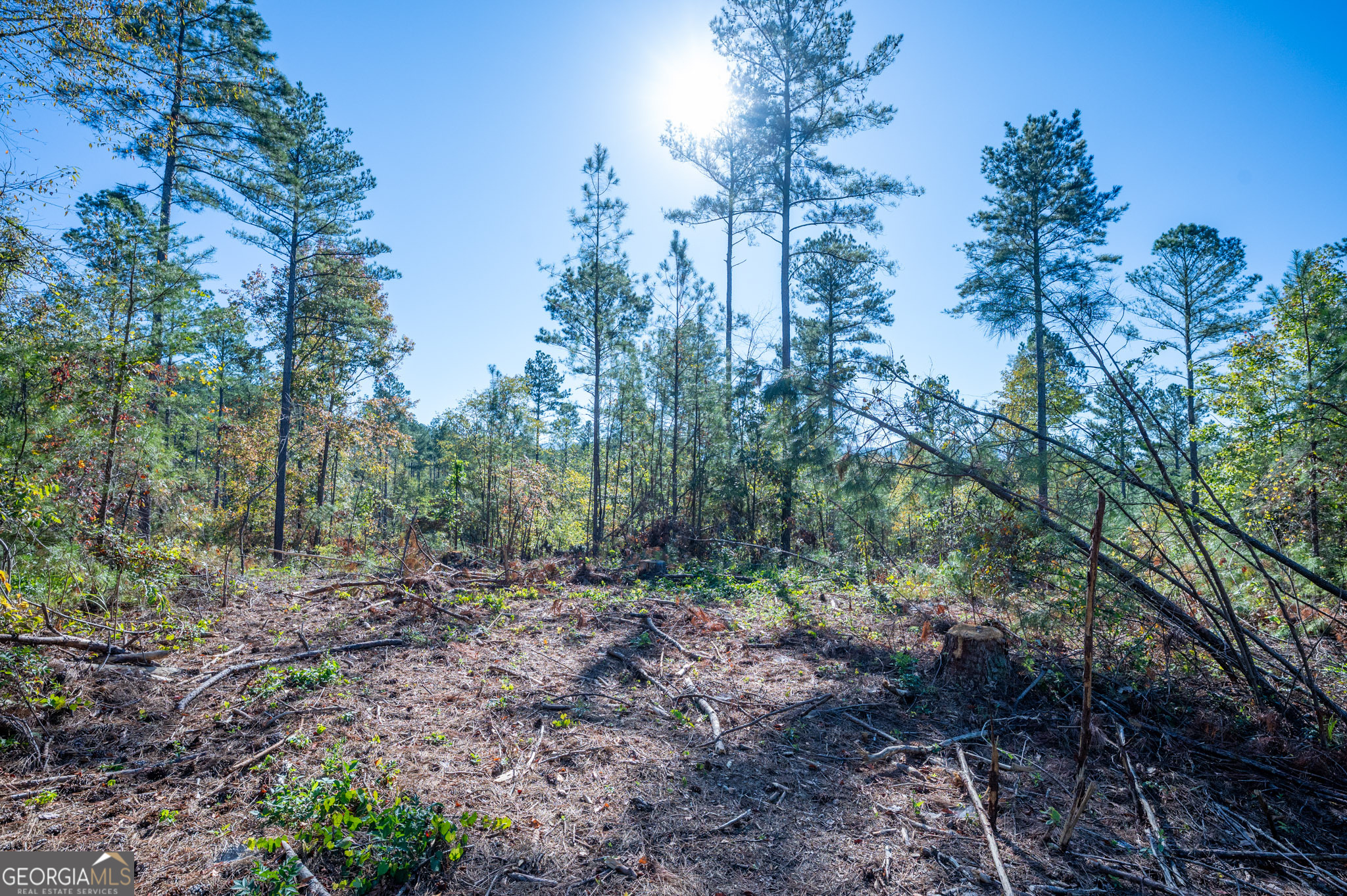3867 Highway 140 NE Rydal GA 30171