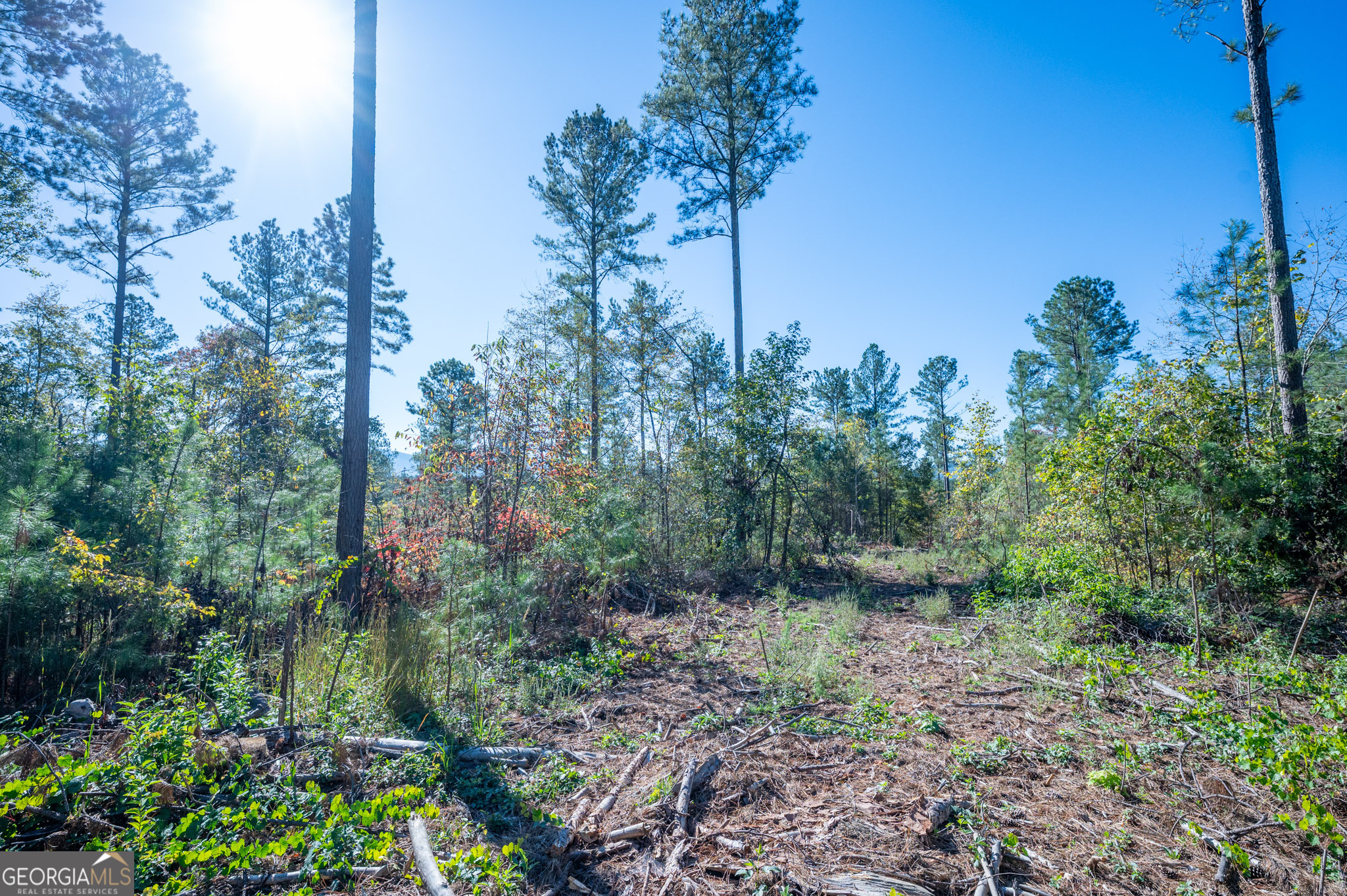 3867 Highway 140 NE Rydal GA 30171