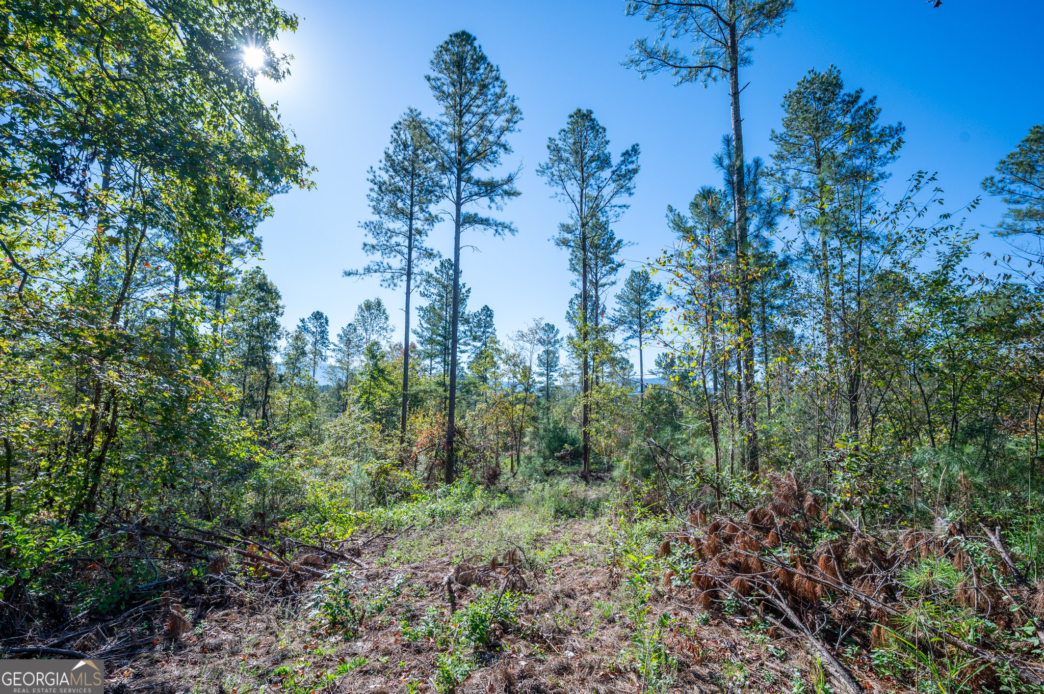 3867 Highway 140 NE Rydal GA 30171