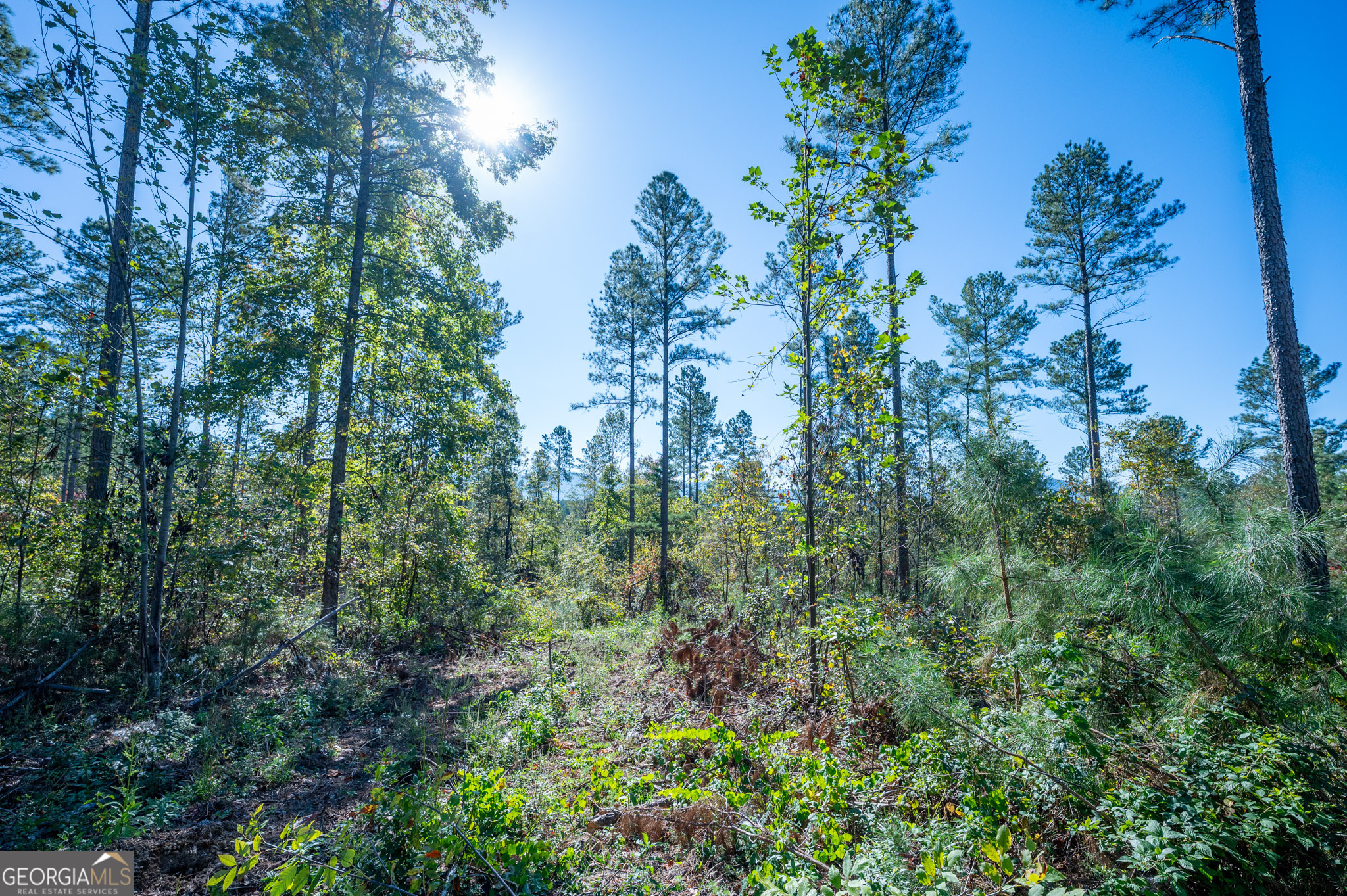 3867 Highway 140 NE Rydal GA 30171