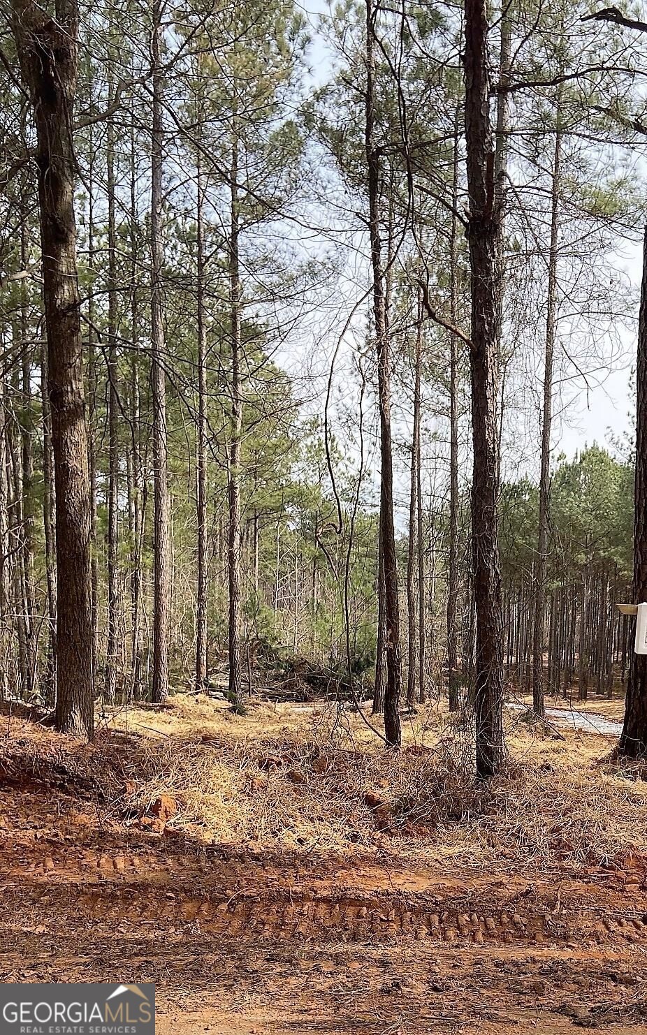 Lot 4 Jaxon Path Dallas GA 30157