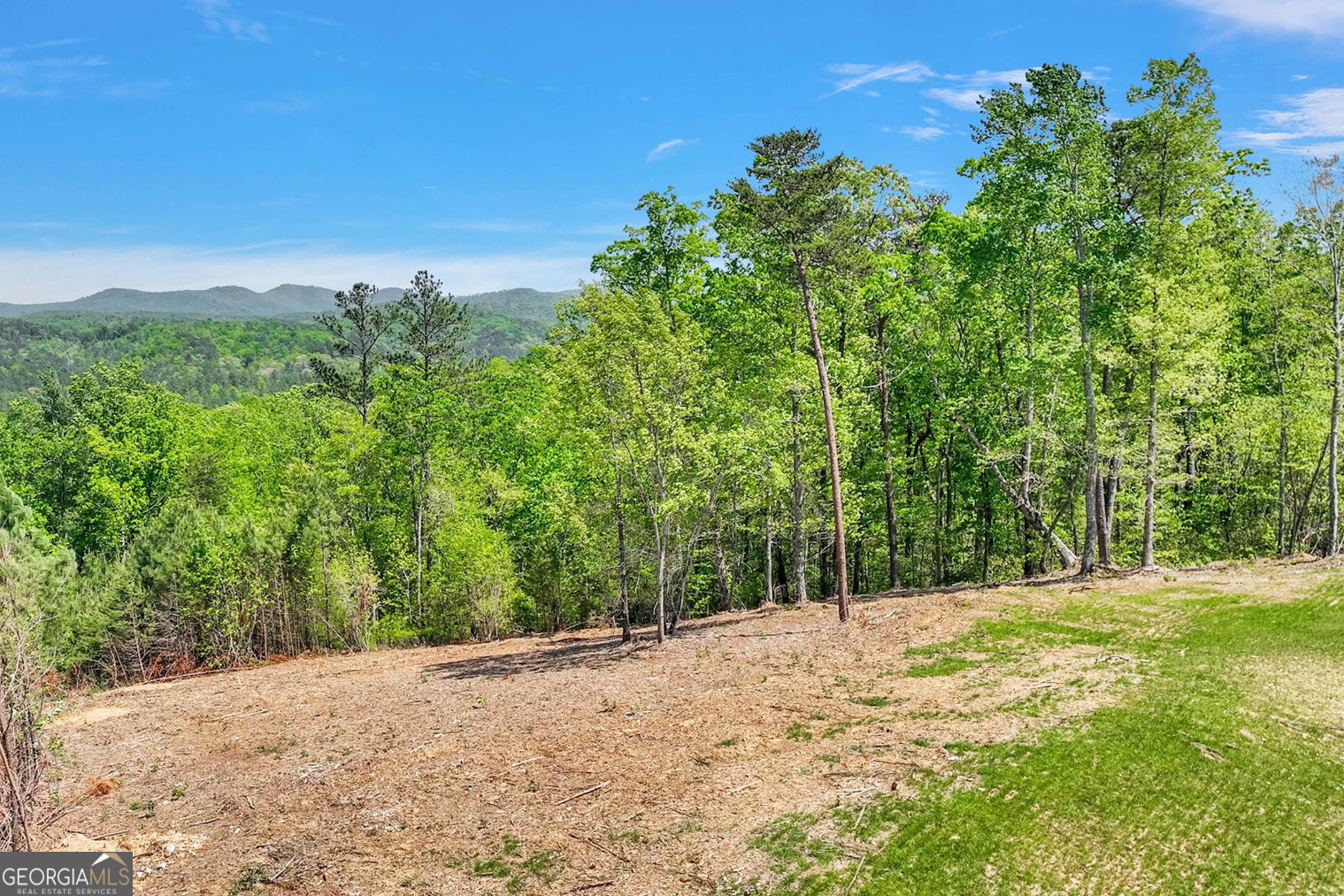 655 Lookout Valley Trail Talking Rock GA 30175