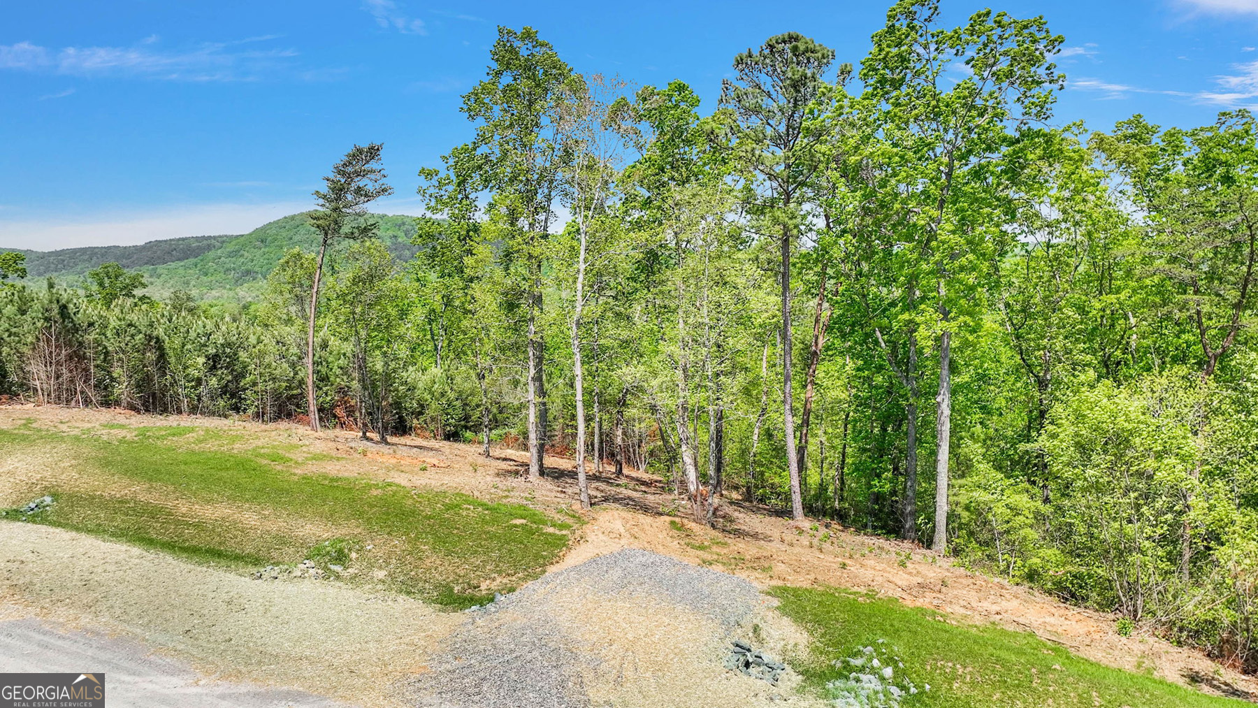 655 Lookout Valley Trail Talking Rock GA 30175