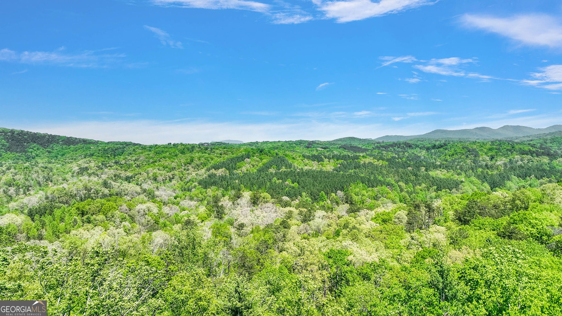 655 Lookout Valley Trail Talking Rock GA 30175