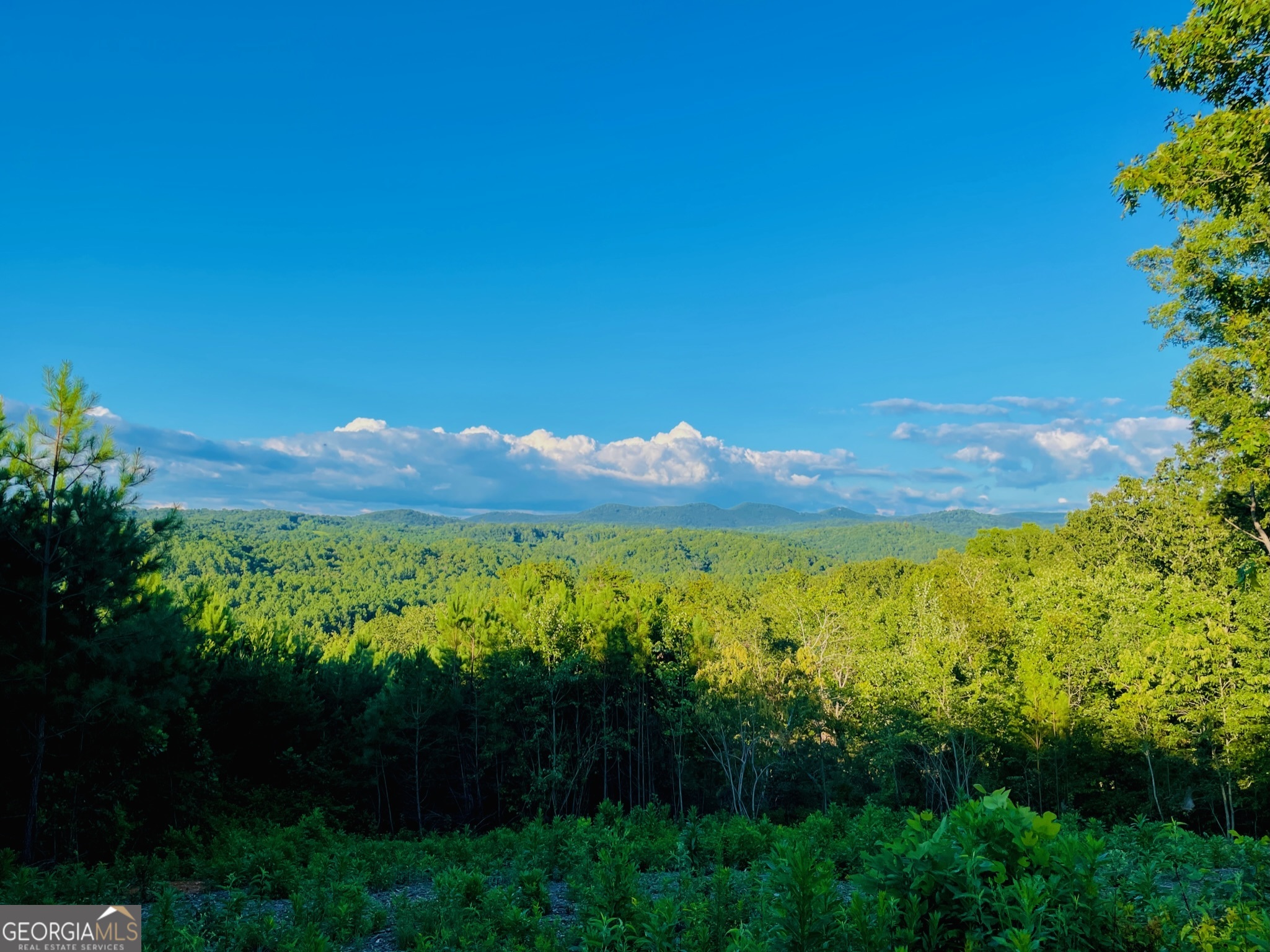 655 Lookout Valley Trail Talking Rock GA 30175