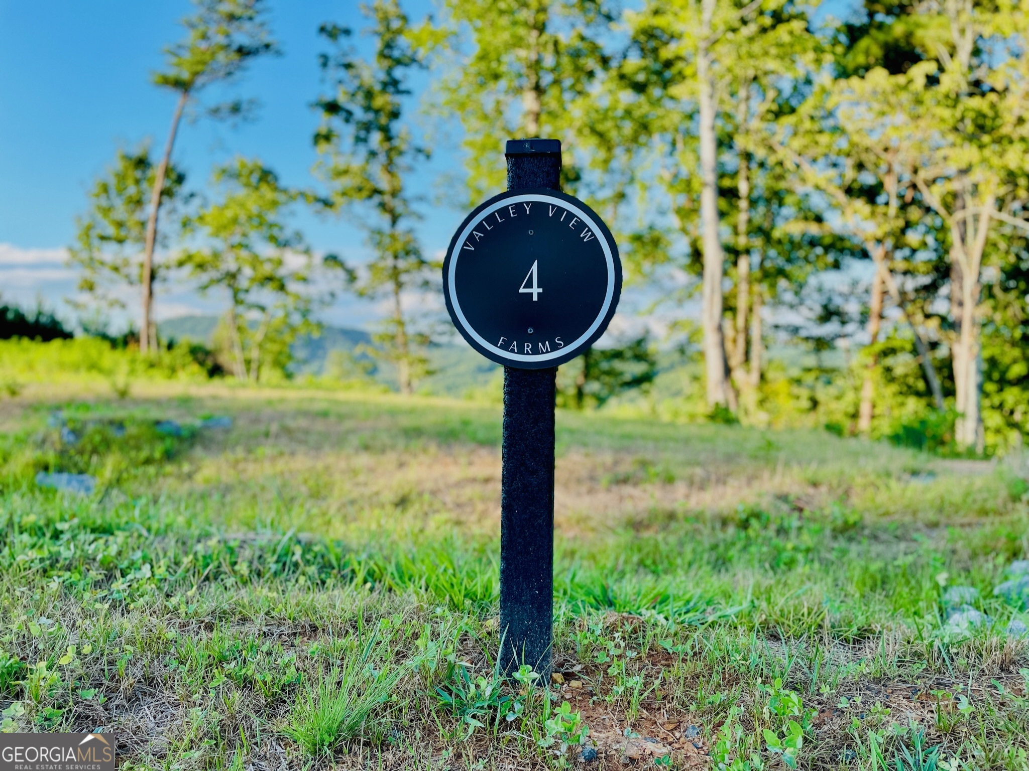 655 Lookout Valley Trail Talking Rock GA 30175