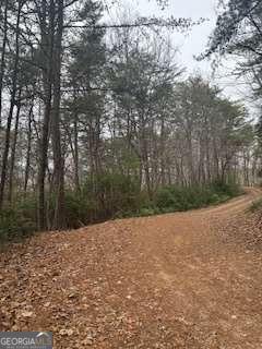 0 Winchester Creek Young Harris GA 30582