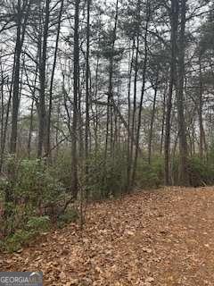 0 Winchester Creek Young Harris GA 30582