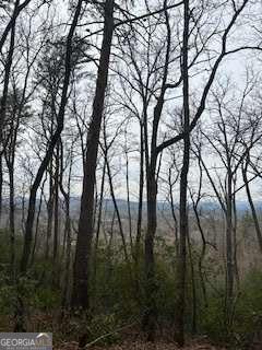0 Winchester Creek Young Harris GA 30582