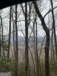 0 Winchester Creek Young Harris GA 30582