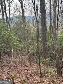 0 Winchester Creek Young Harris GA 30582