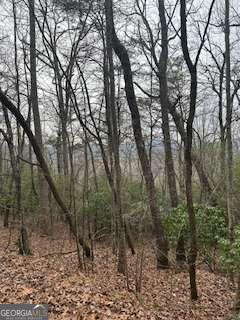 0 Winchester Creek Young Harris GA 30582