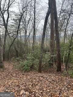 0 Winchester Creek Young Harris GA 30582