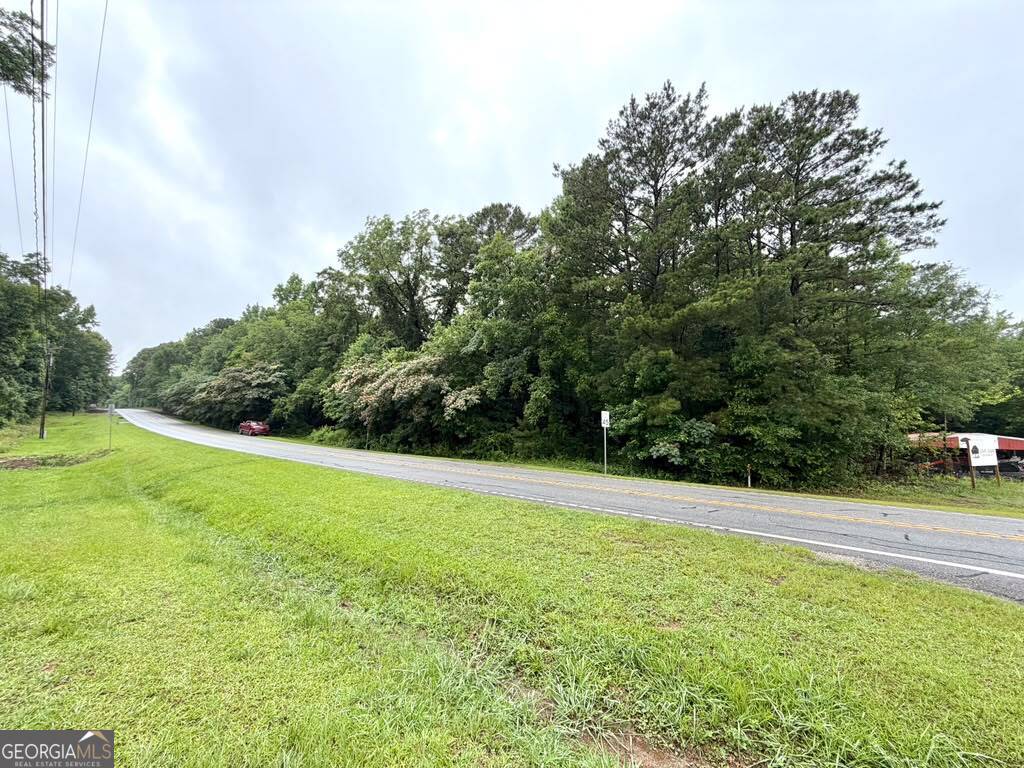 0 Ga Highway 85 Waverly Hall GA 31831