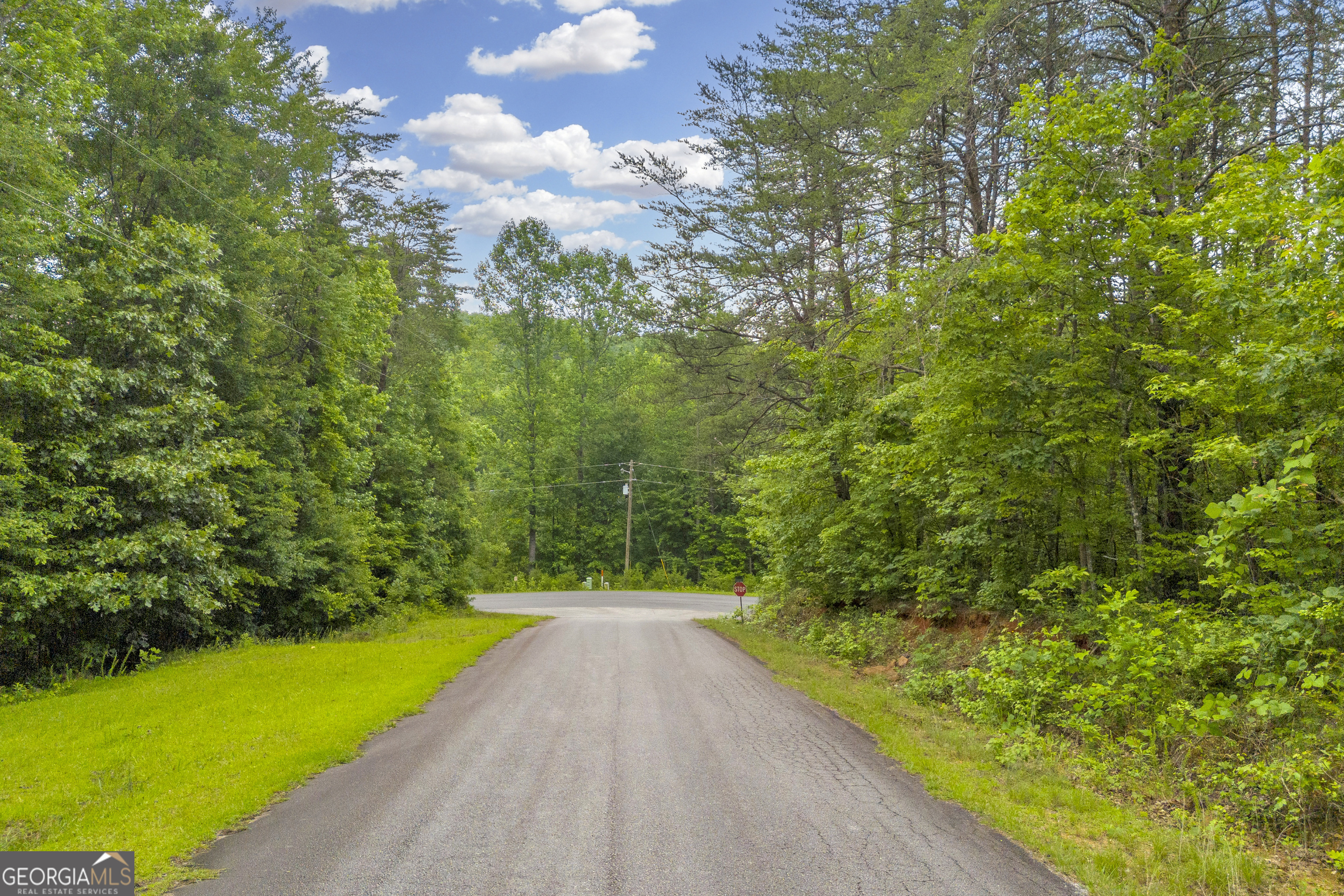 0 Trembly Bald Road Toccoa GA 30577