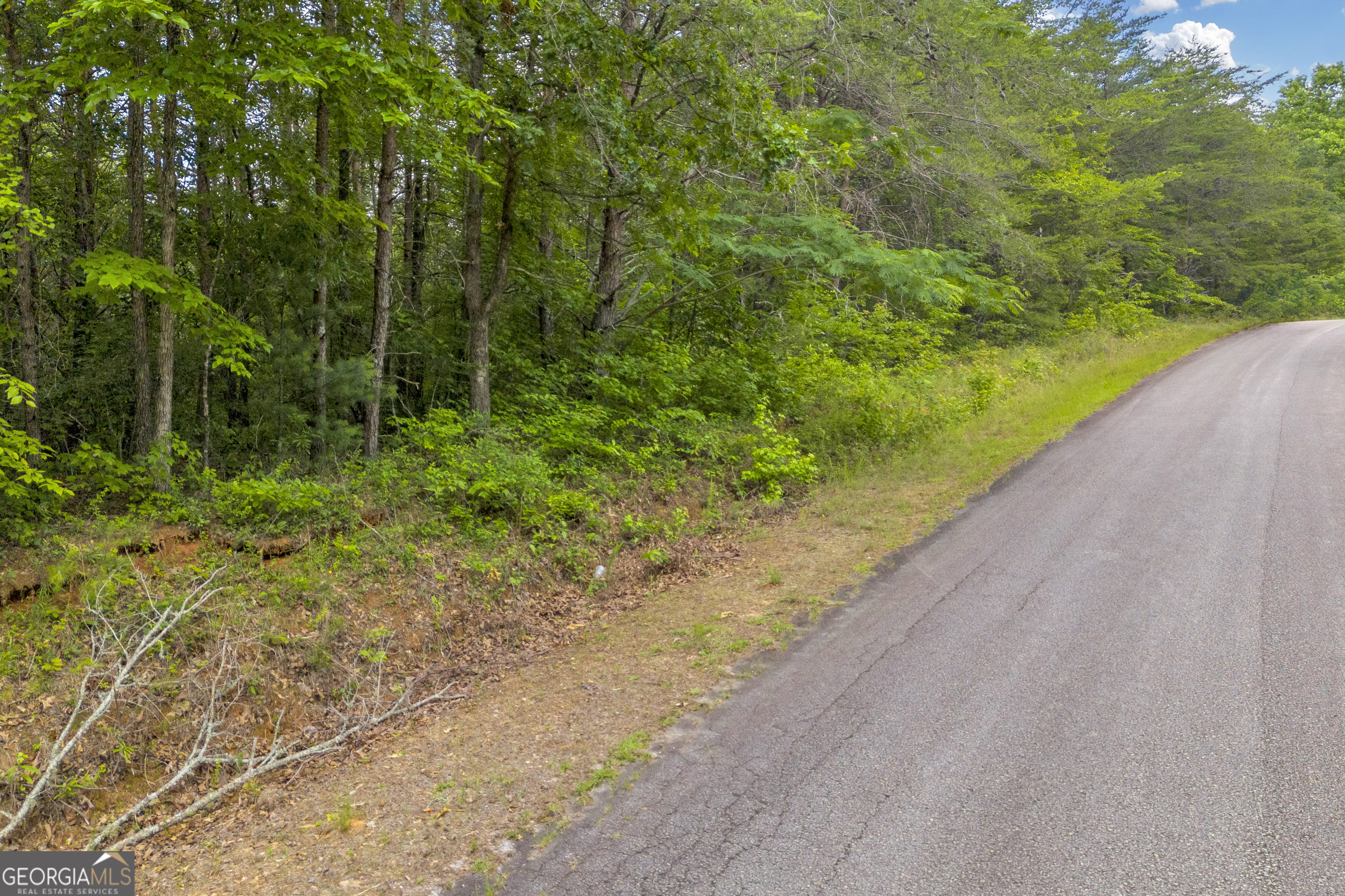 0 Trembly Bald Road Toccoa GA 30577