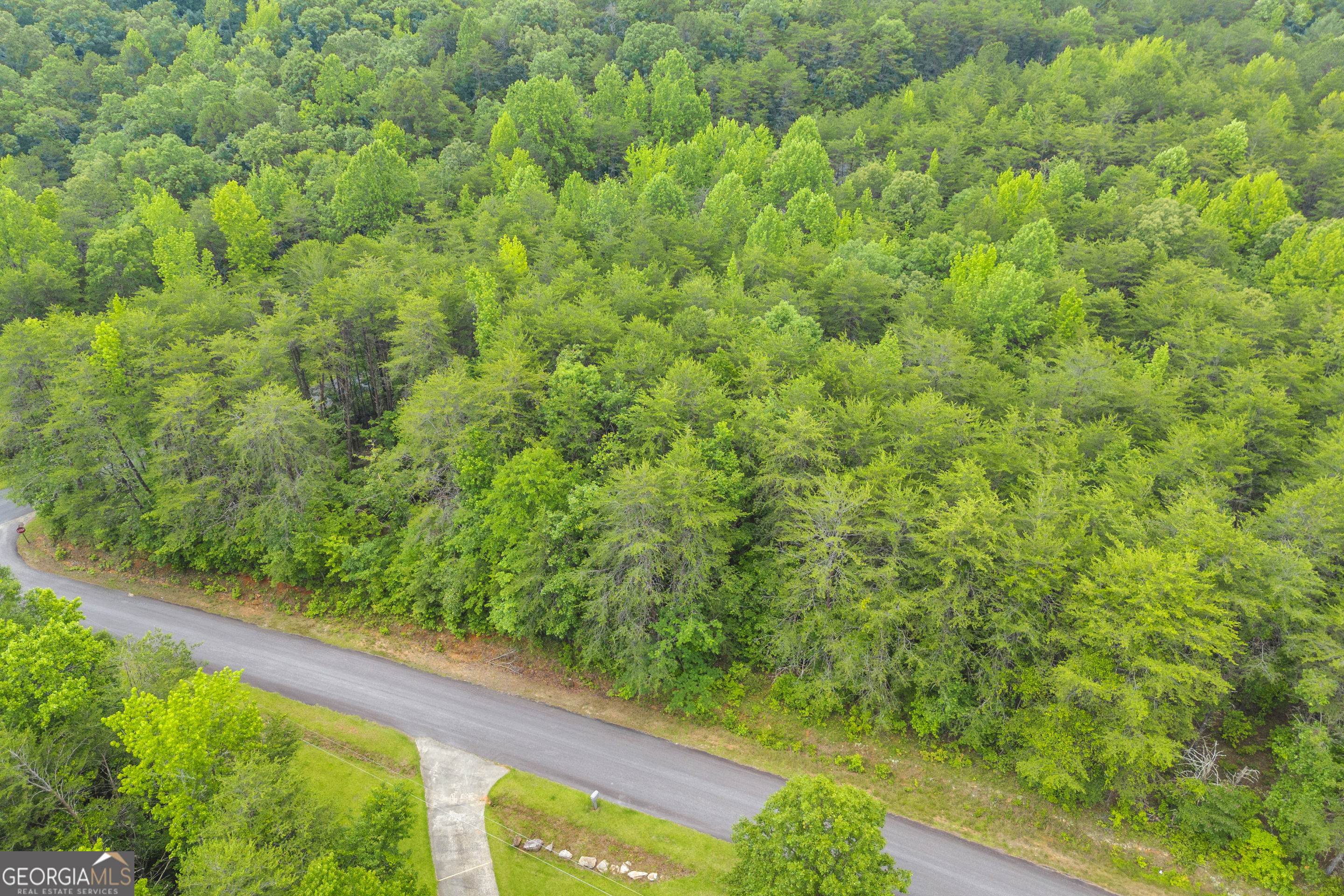 0 Trembly Bald Road Toccoa GA 30577