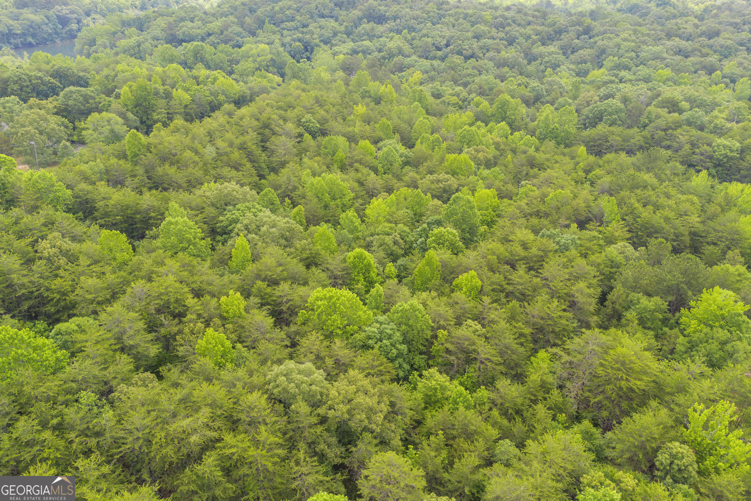 0 Trembly Bald Road Toccoa GA 30577