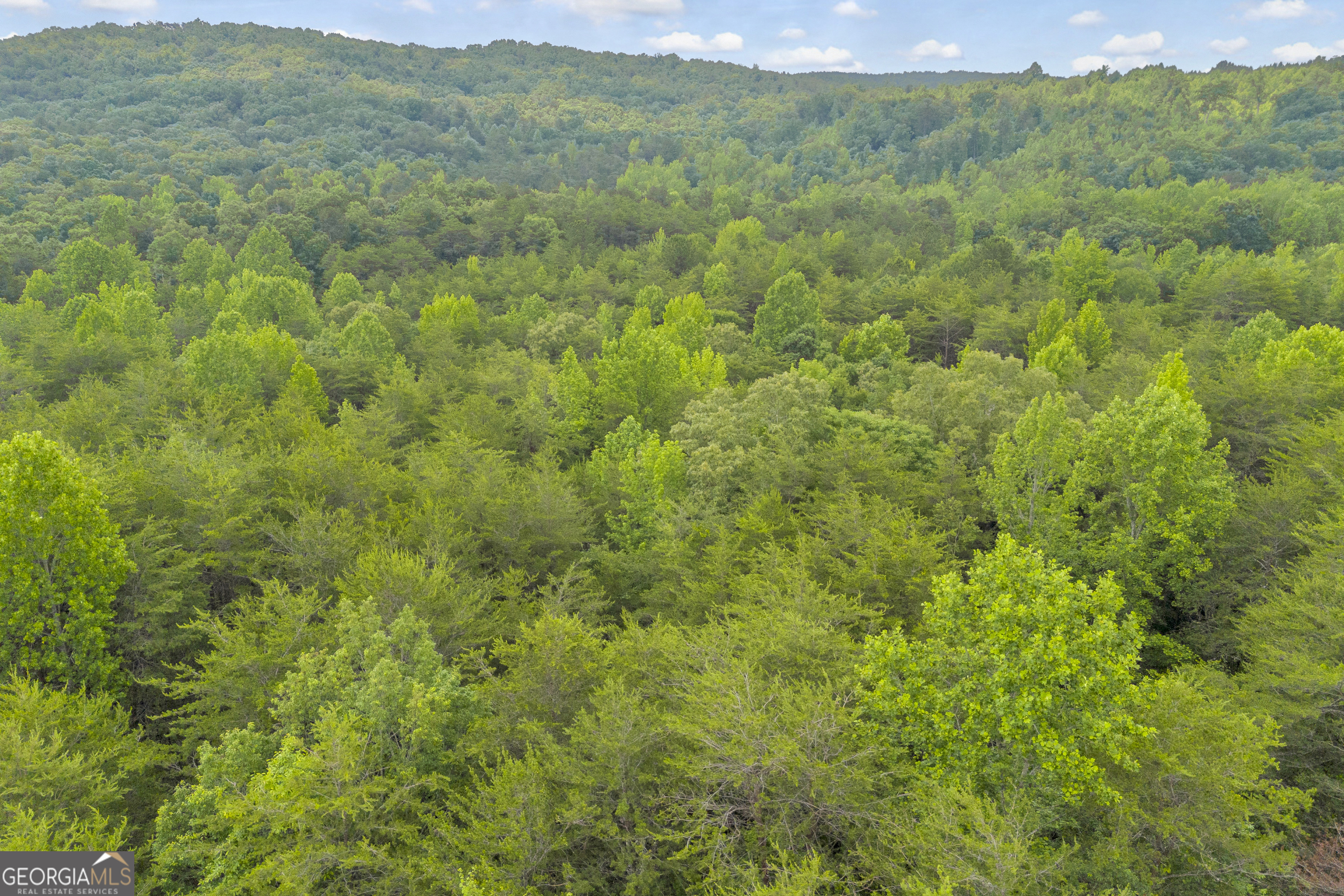 0 Trembly Bald Road Toccoa GA 30577