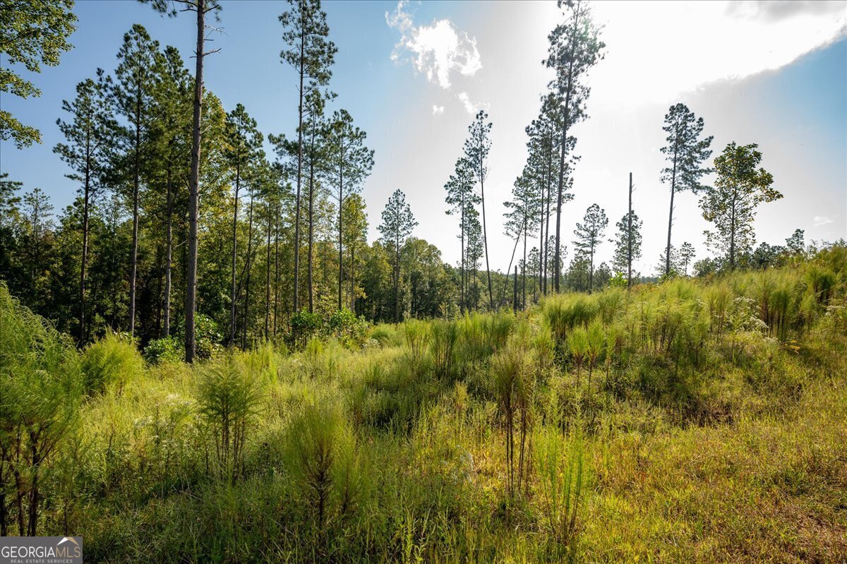 Lot 131 River Reach Lane Talking Rock GA 30175