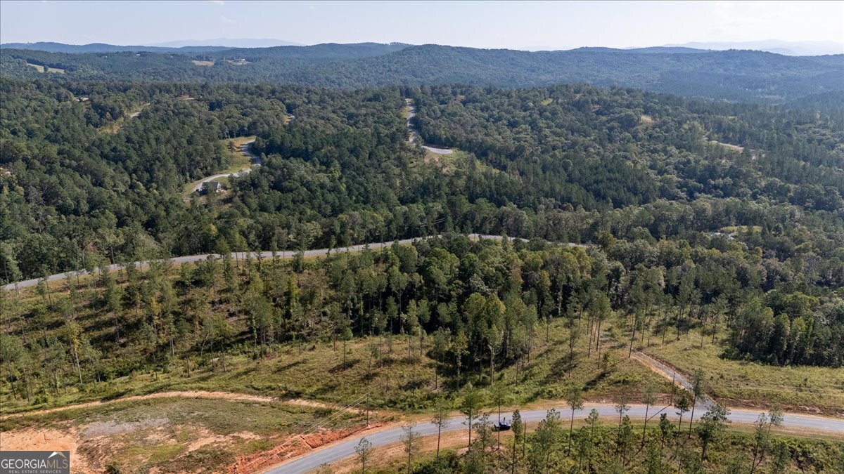 Lot 131 River Reach Lane Talking Rock GA 30175
