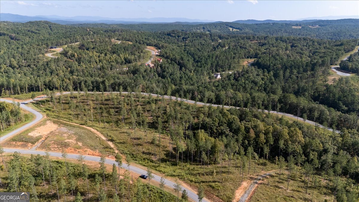 Lot 131 River Reach Lane Talking Rock GA 30175