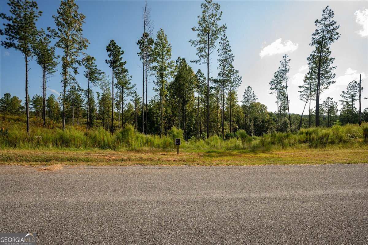 Lot 131 River Reach Lane Talking Rock GA 30175