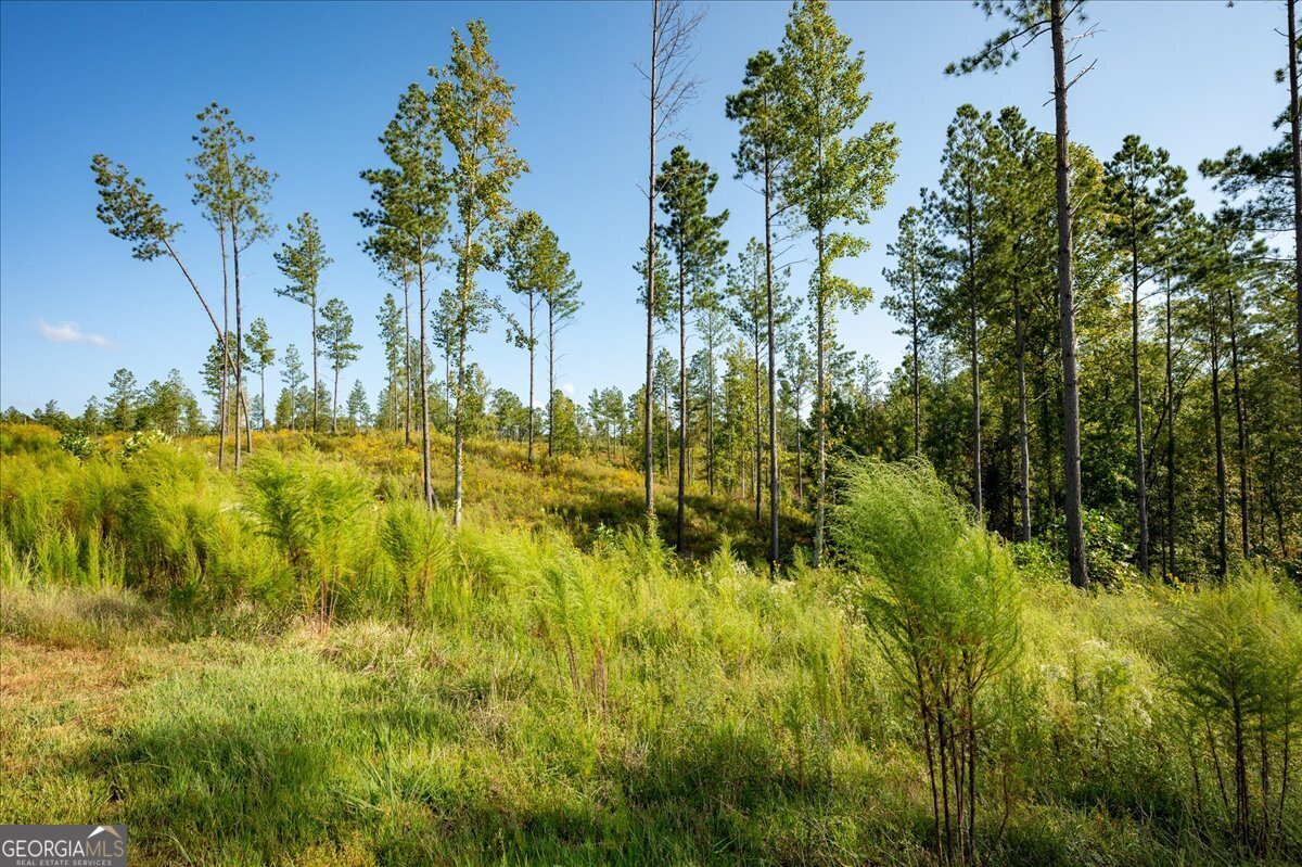 Lot 131 River Reach Lane Talking Rock GA 30175