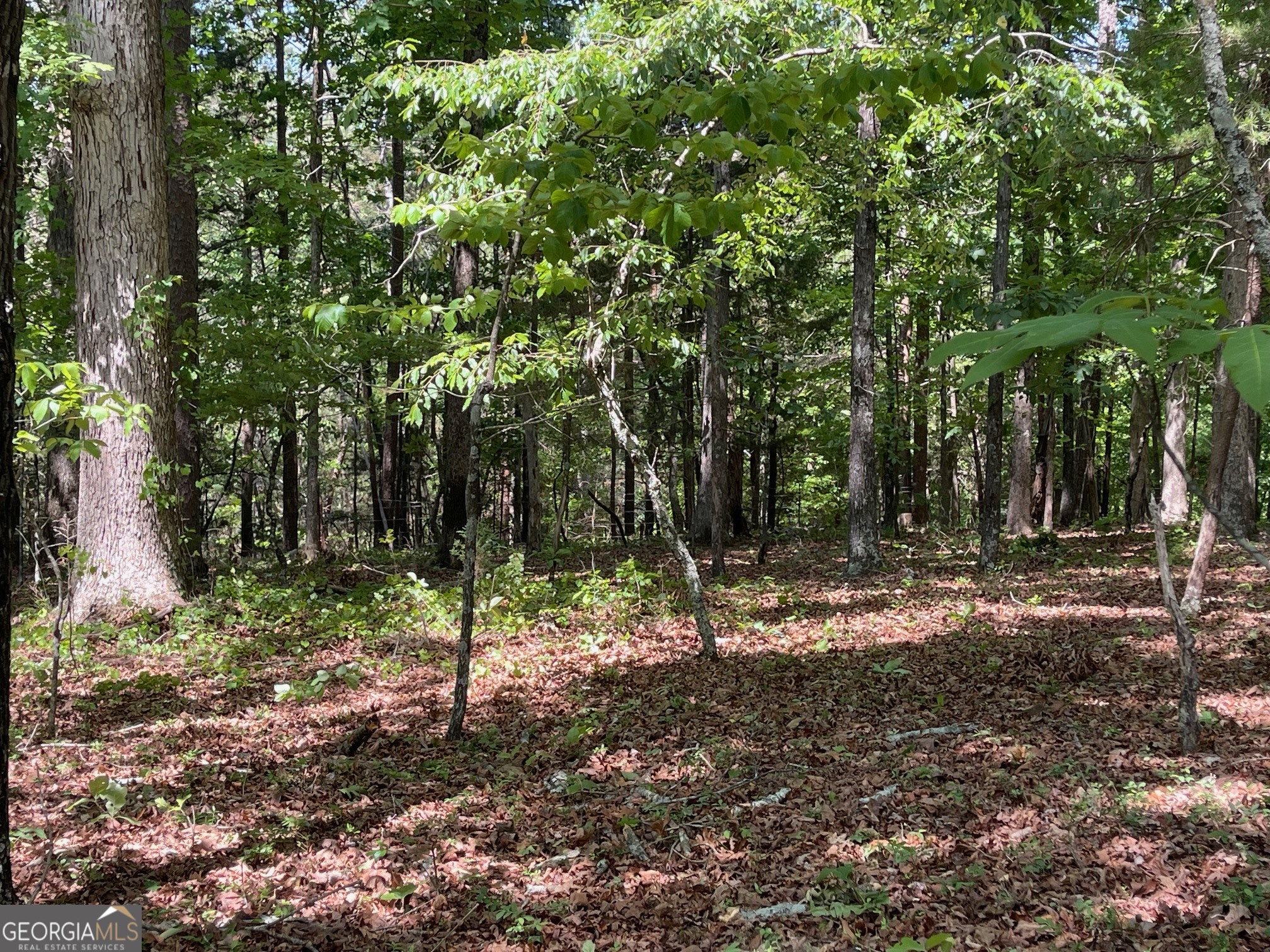 Lot 1 Chalcrest Way Cave Spring GA 30124