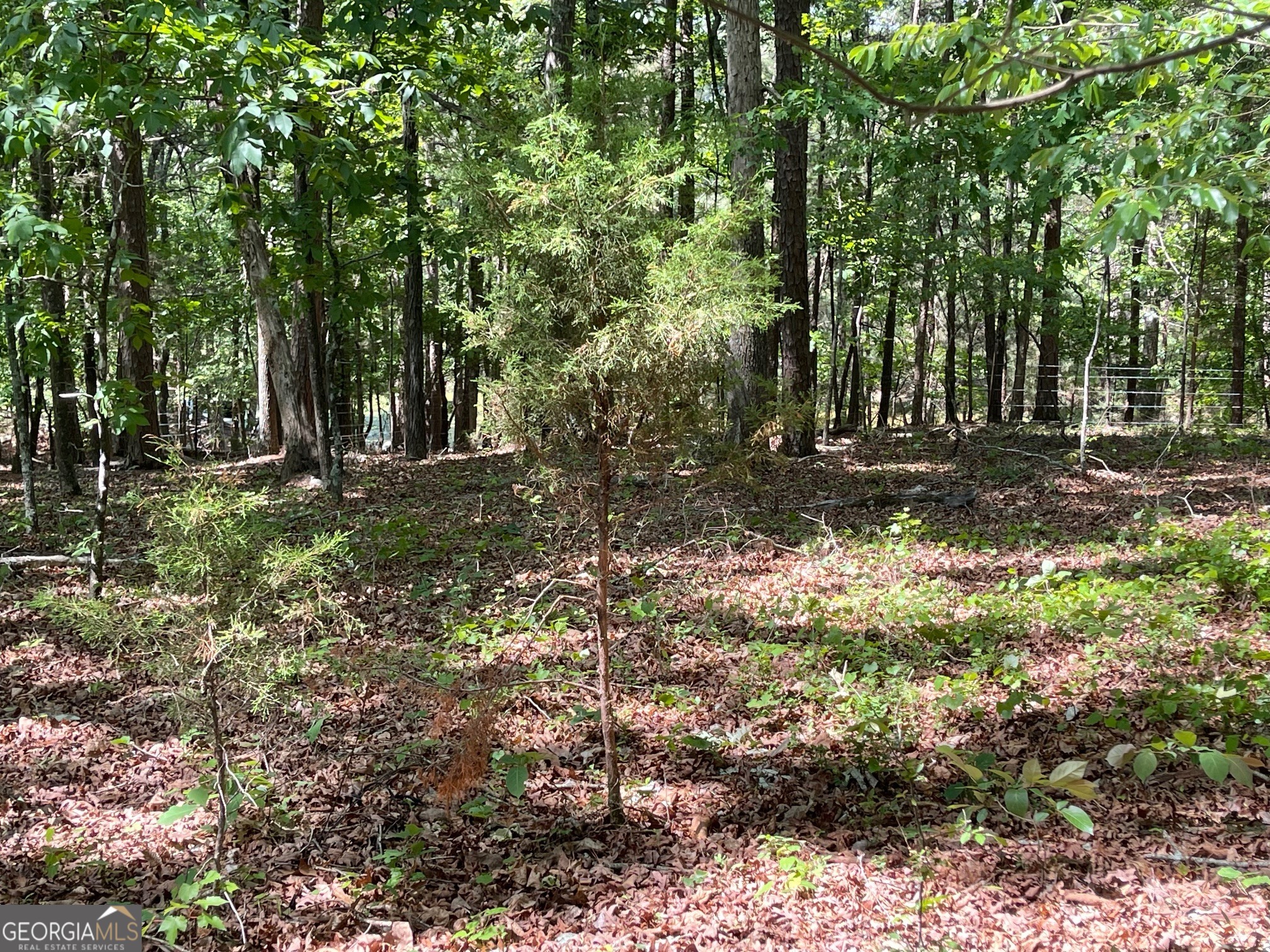 Lot 1 Chalcrest Way Cave Spring GA 30124