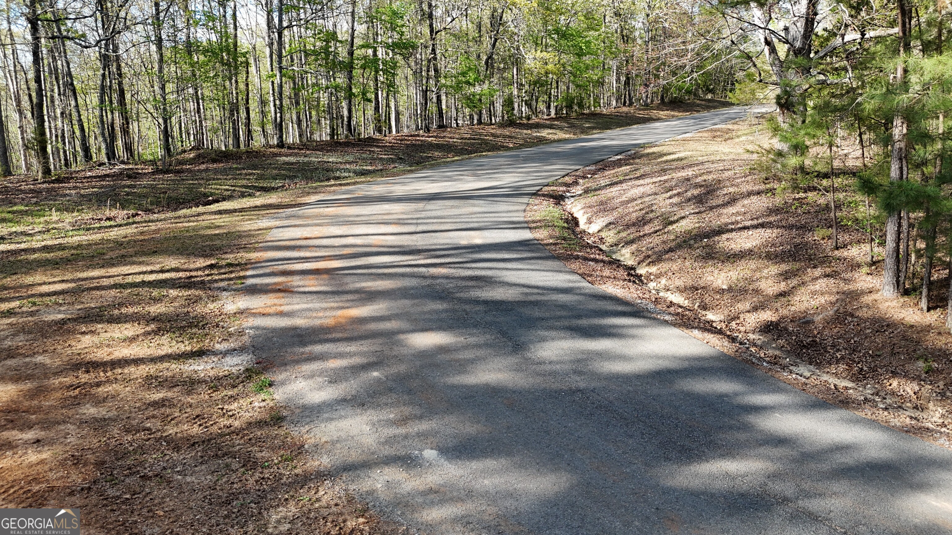 Lot 1 Chalcrest Way Cave Spring GA 30124