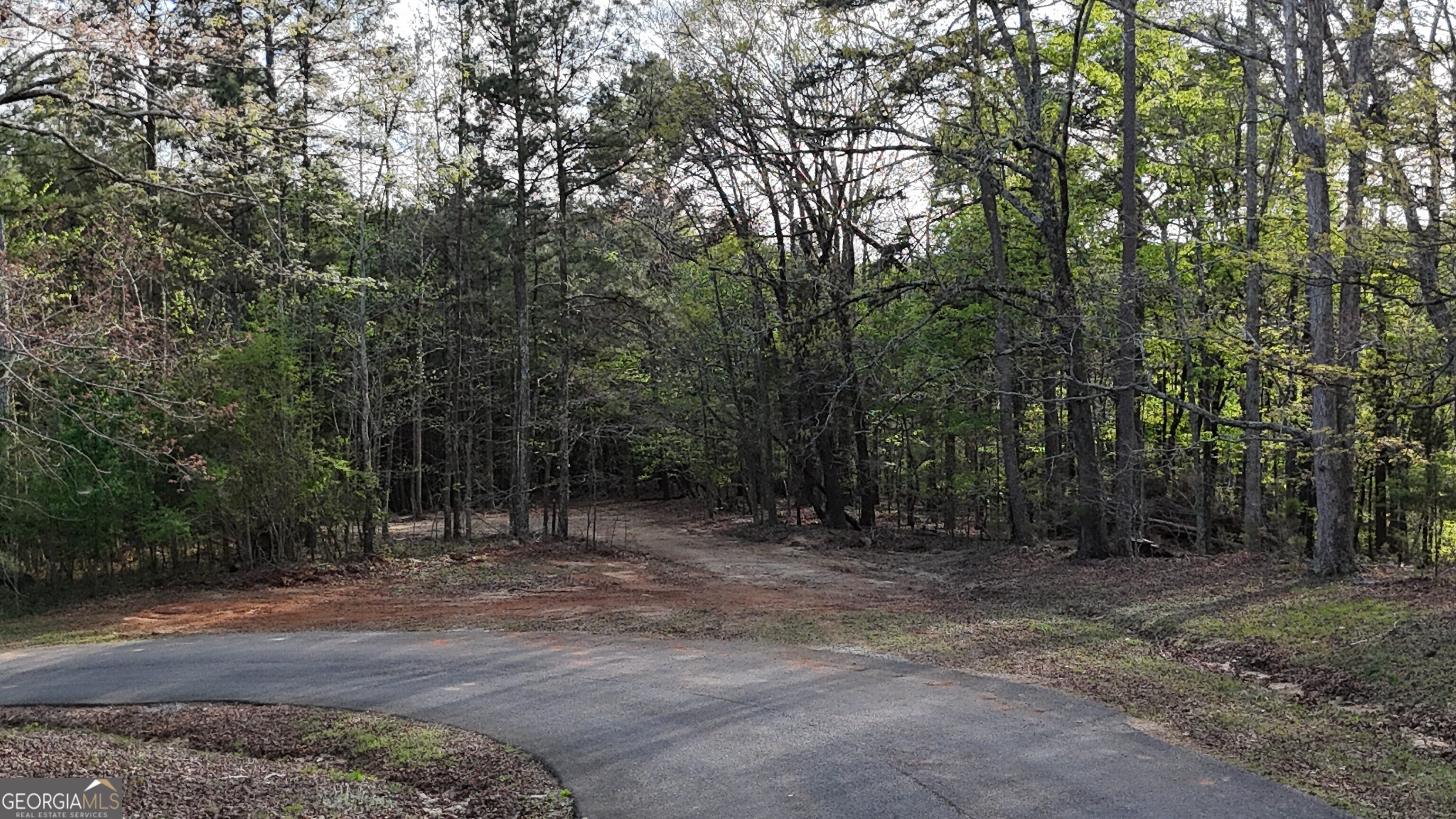 Lot 1 Chalcrest Way Cave Spring GA 30124