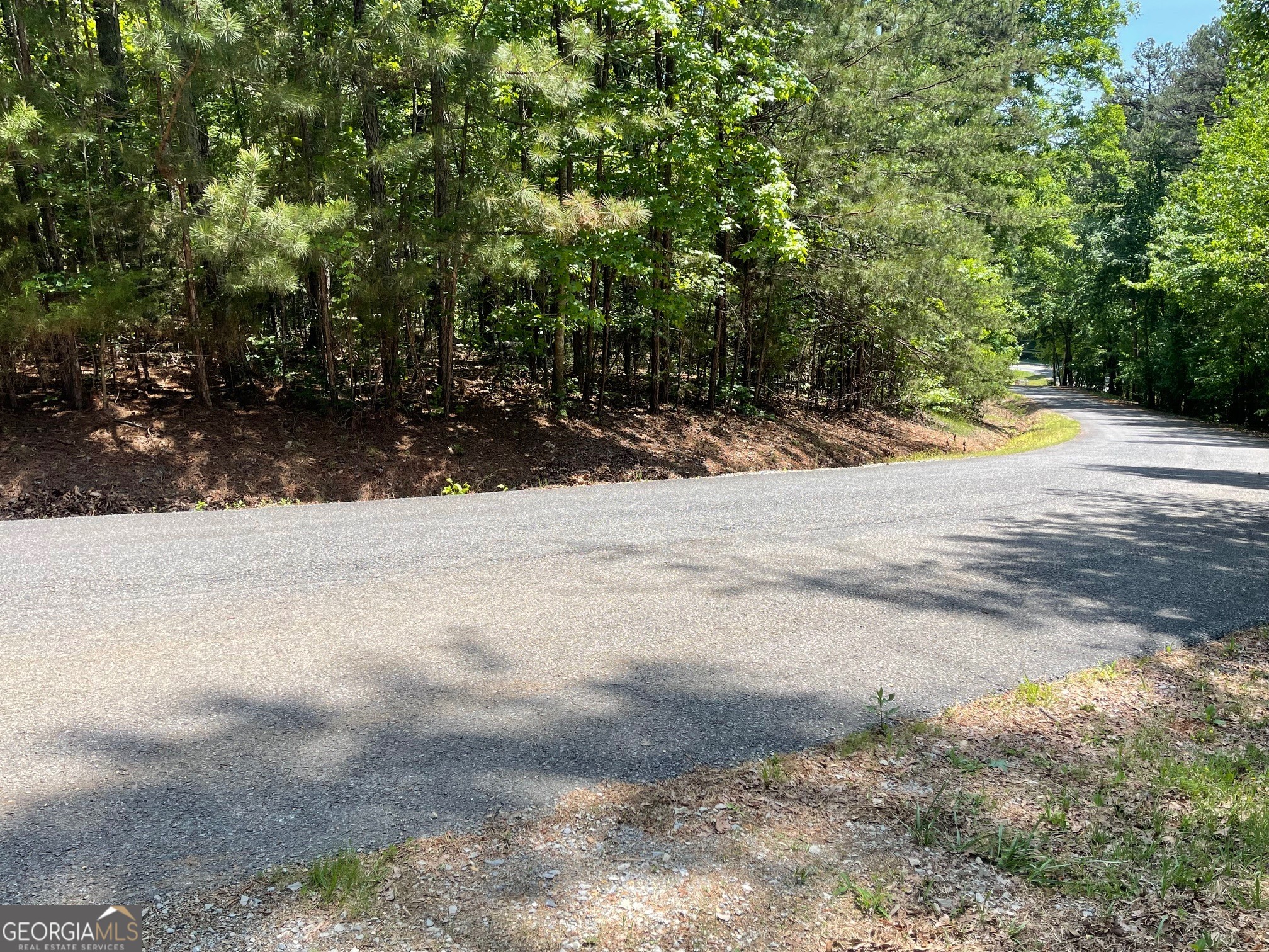 Lot 1 Chalcrest Way Cave Spring GA 30124