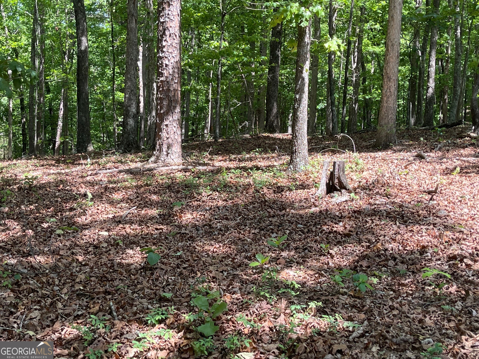 Lot 1 Chalcrest Way Cave Spring GA 30124