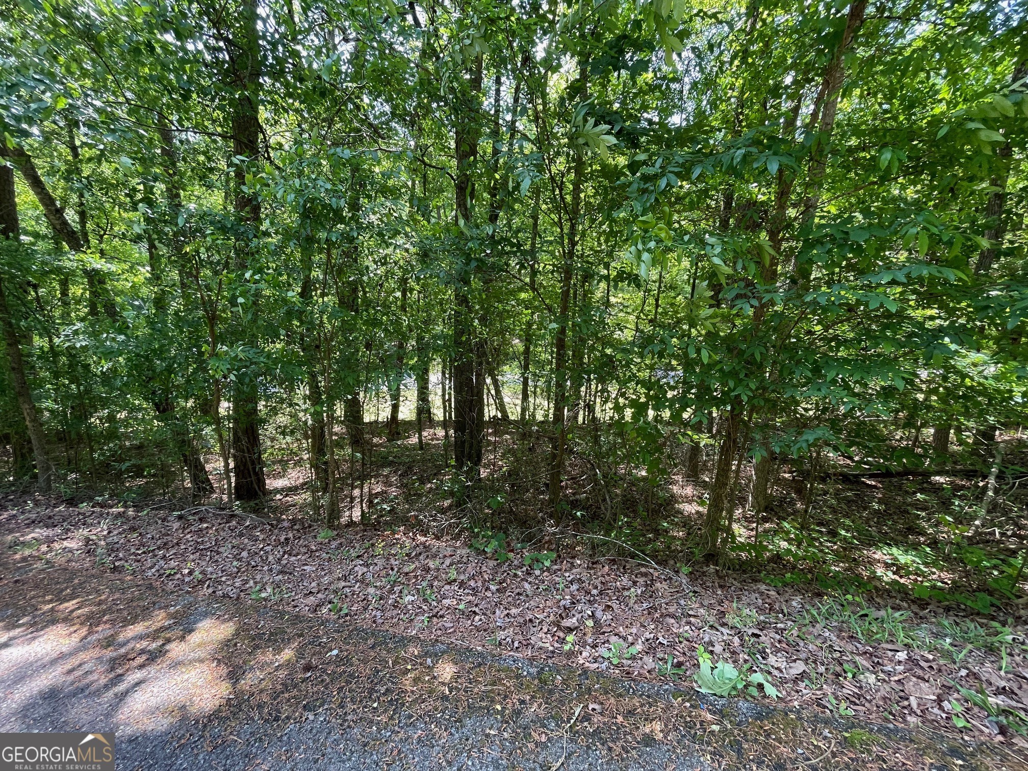 Lot 1 Chalcrest Way Cave Spring GA 30124
