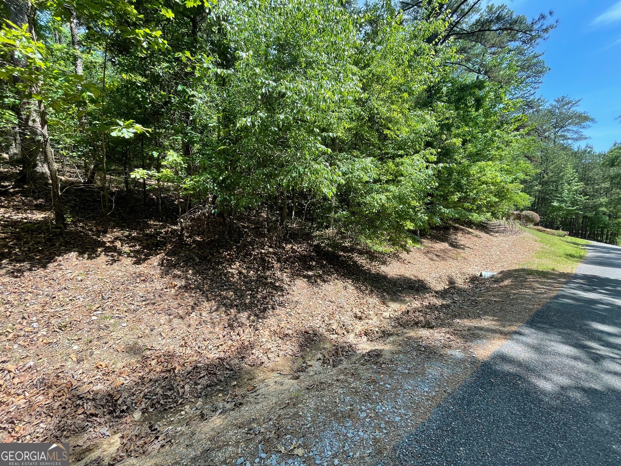 Lot 1 Chalcrest Way Cave Spring GA 30124