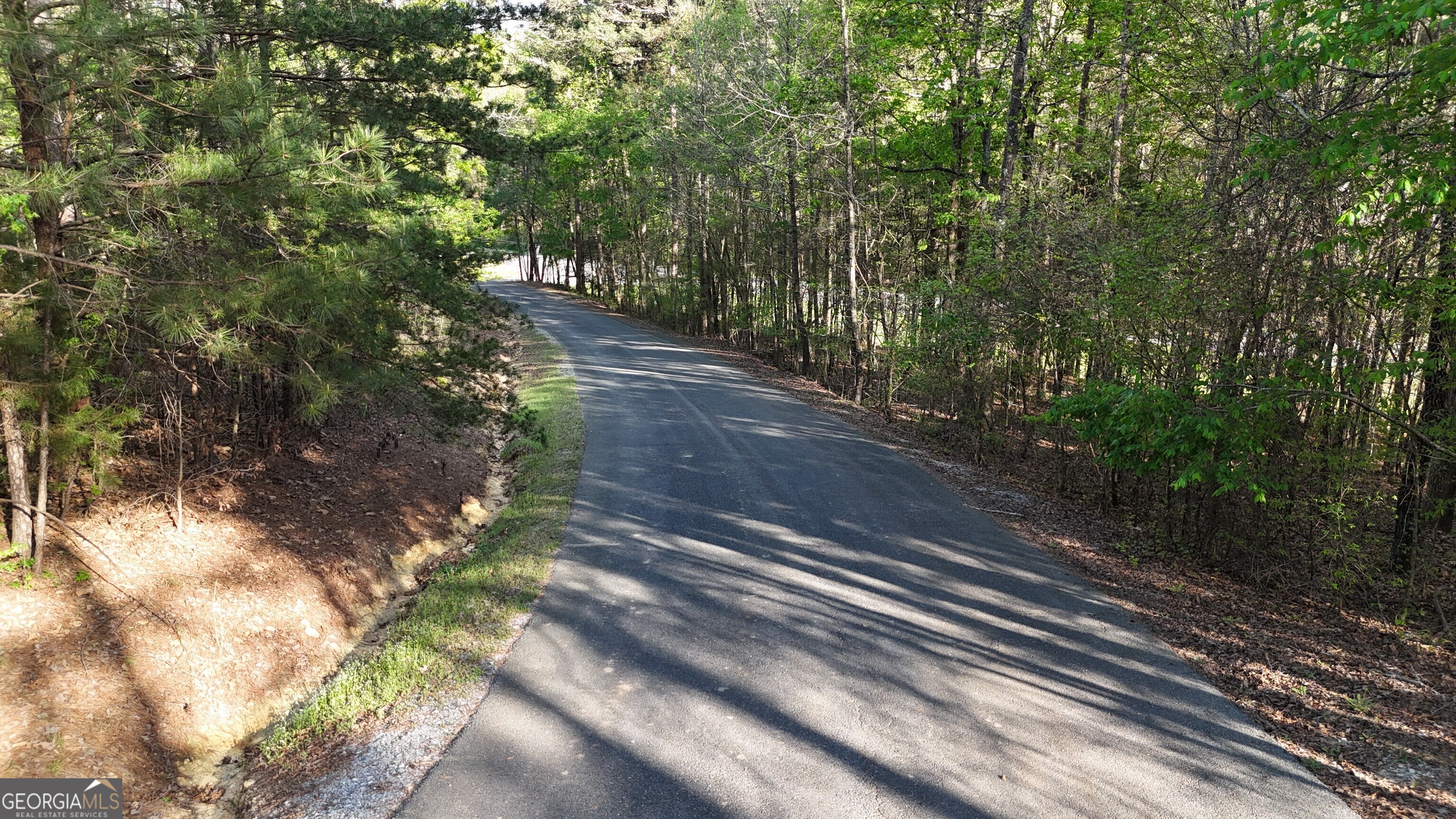 Lot 1 Chalcrest Way Cave Spring GA 30124