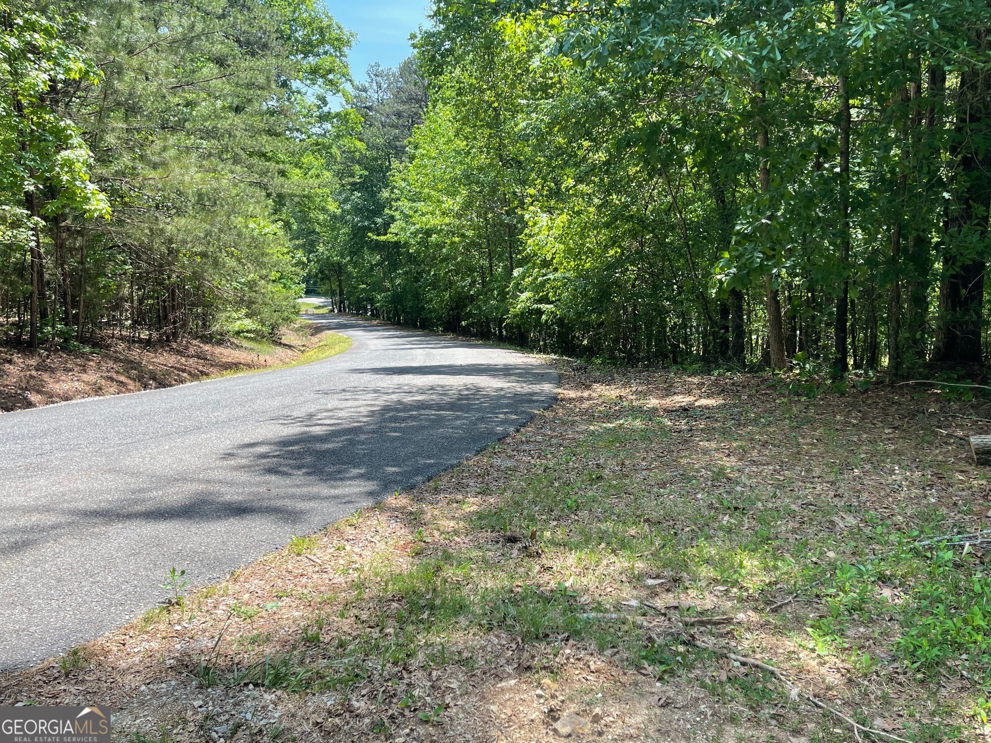 Lot 1 Chalcrest Way Cave Spring GA 30124