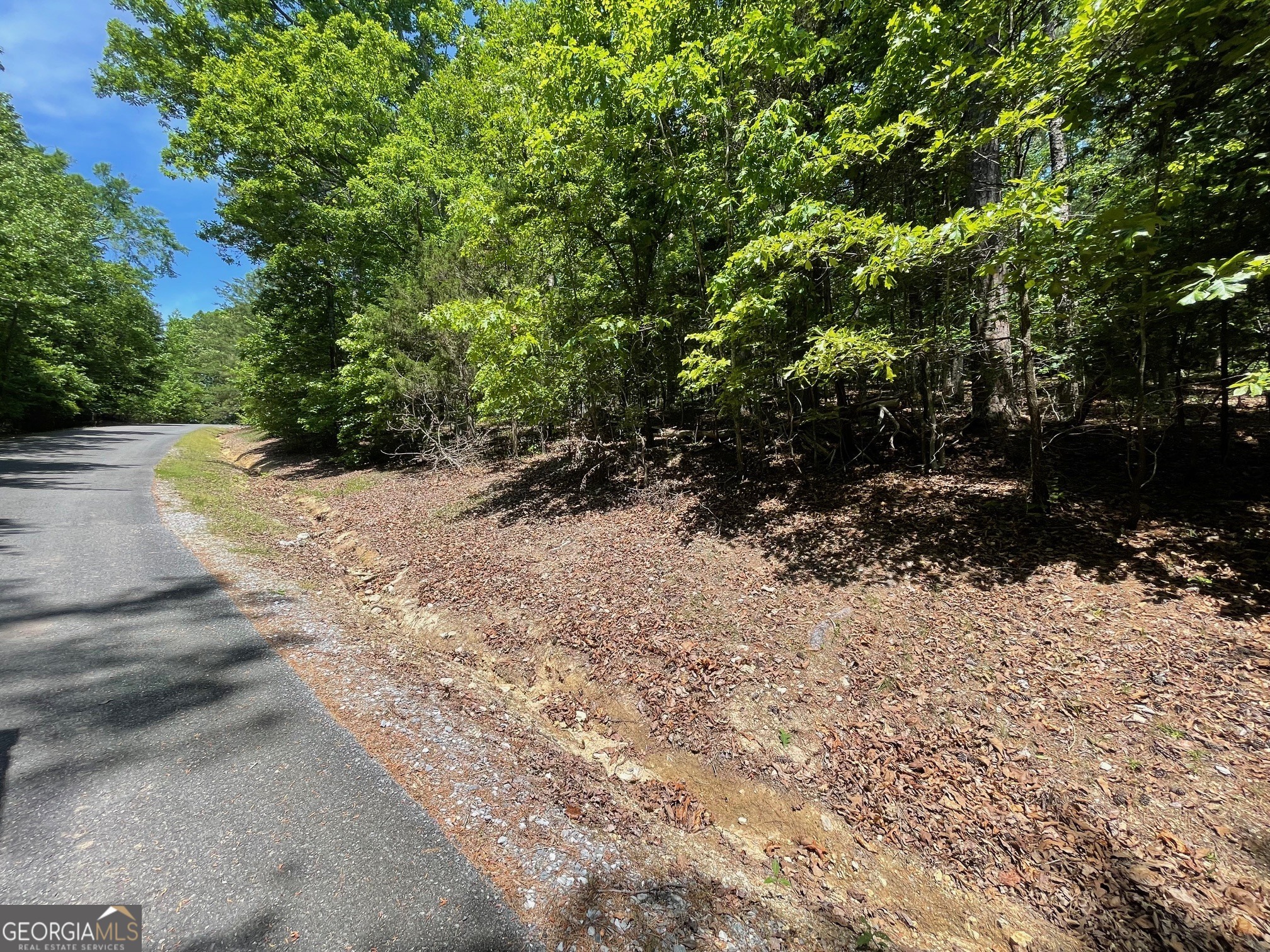 Lot 1 Chalcrest Way Cave Spring GA 30124