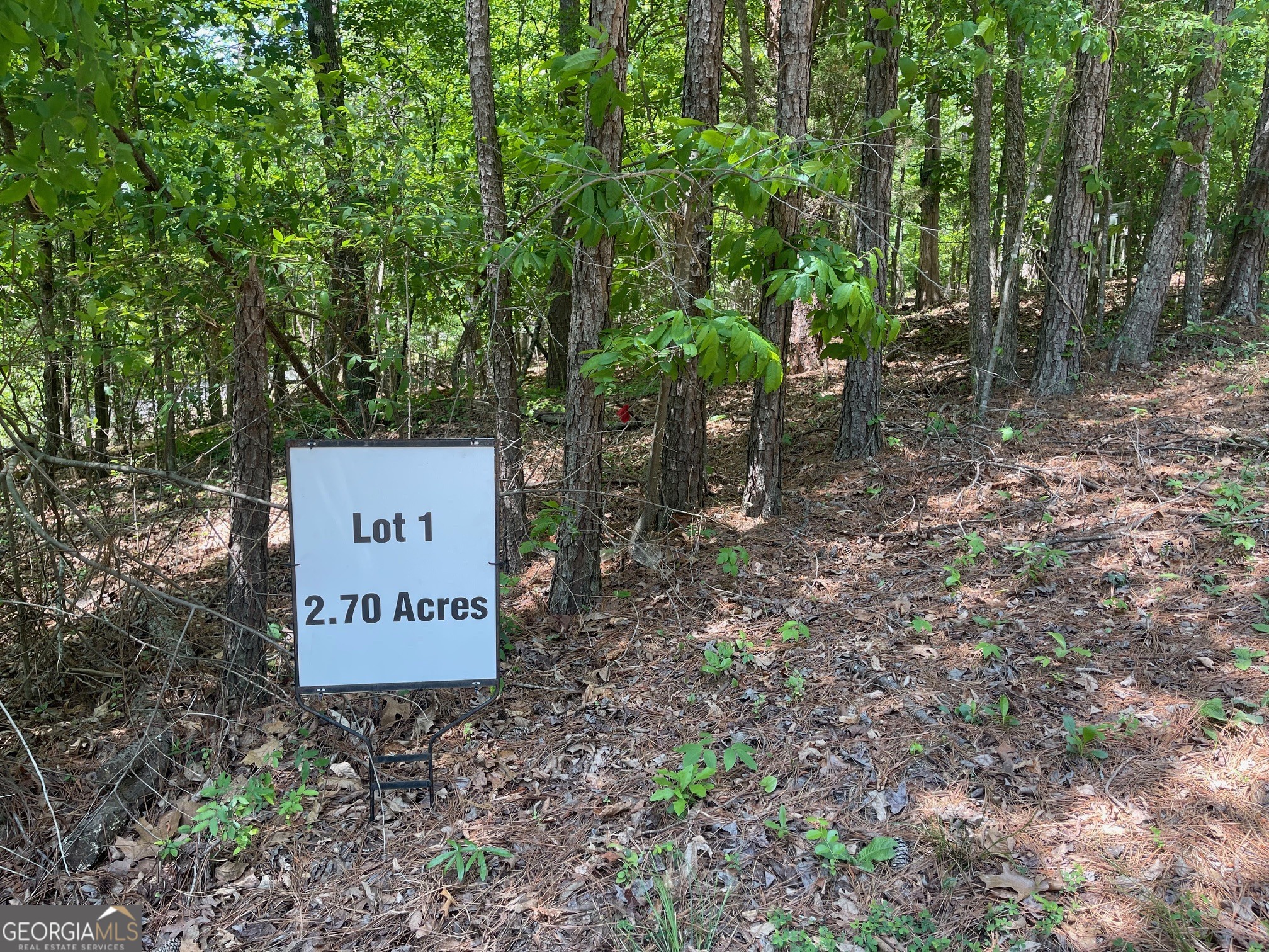 Lot 1 Chalcrest Way Cave Spring GA 30124