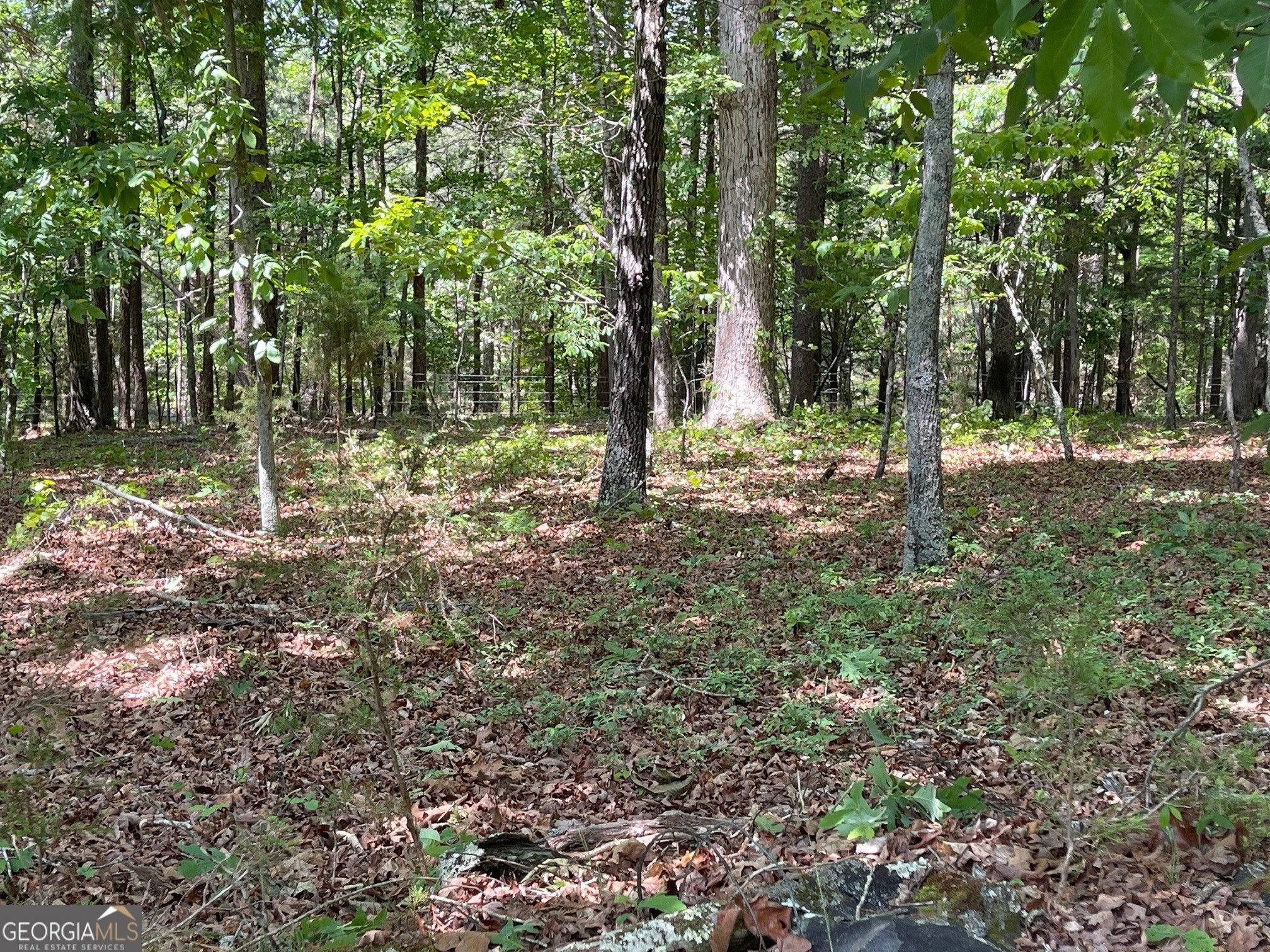 Lot 1 Chalcrest Way Cave Spring GA 30124