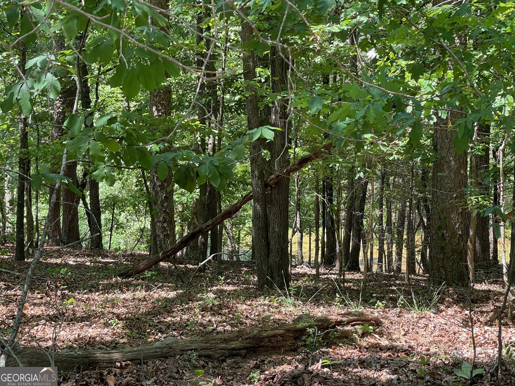 Lot 1 Chalcrest Way Cave Spring GA 30124