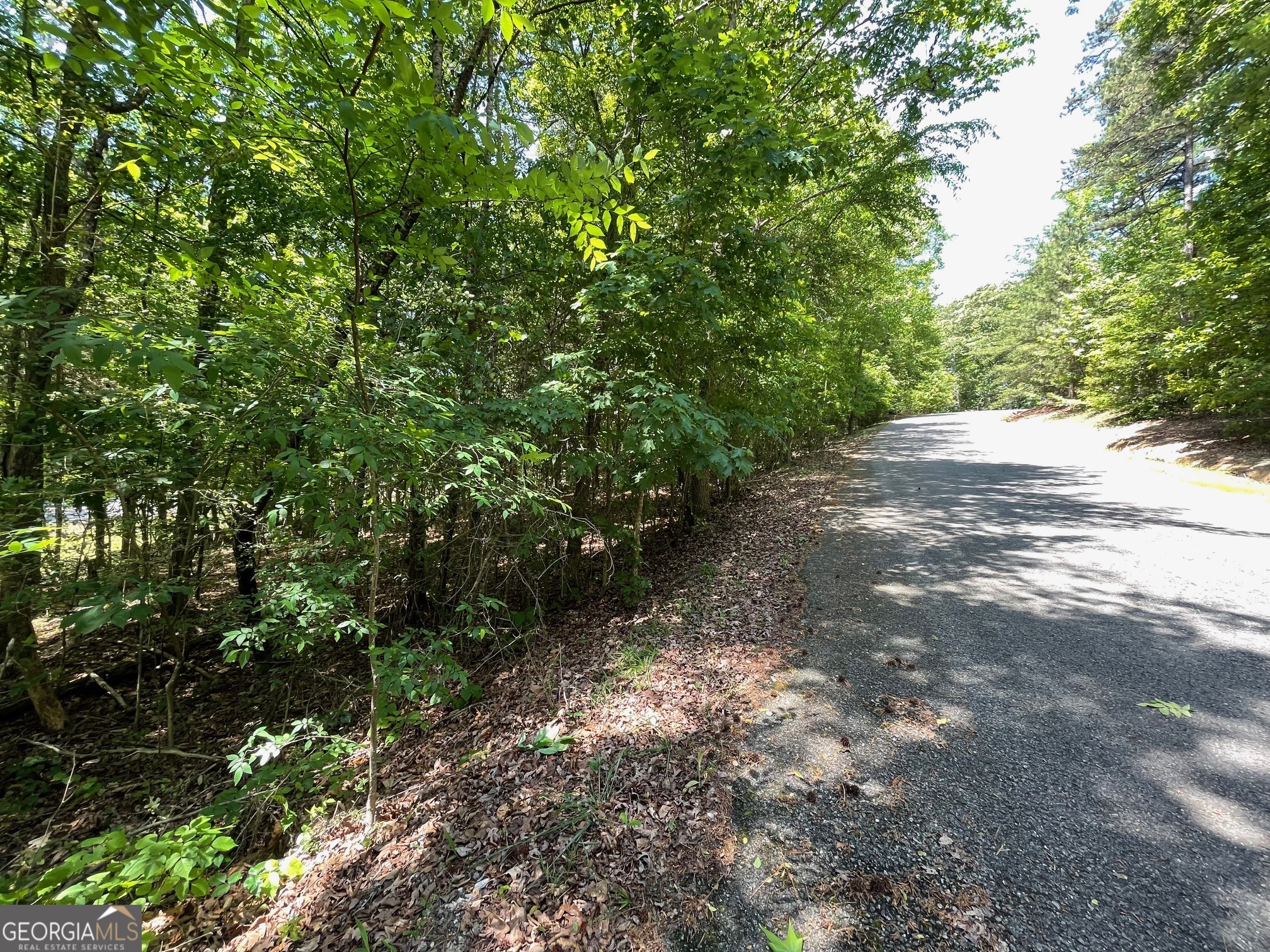 Lot 1 Chalcrest Way Cave Spring GA 30124