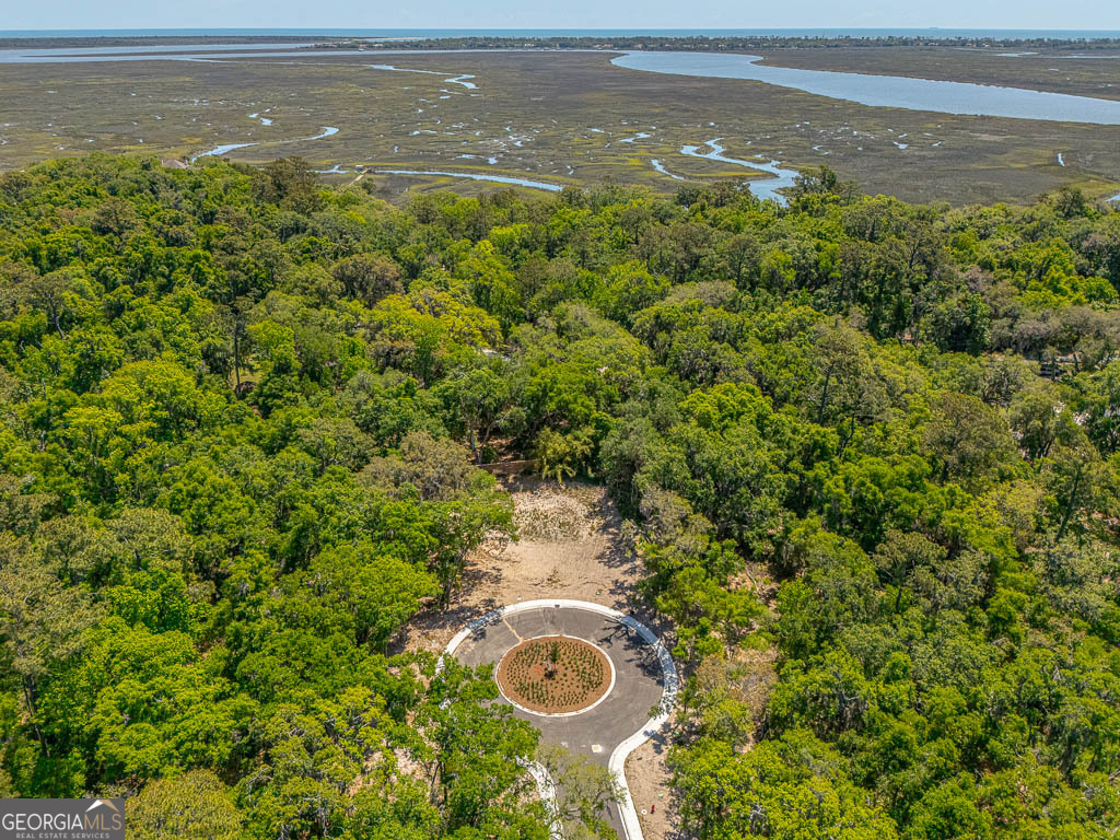 145 Canopy Lane St. Simons Island GA 31522