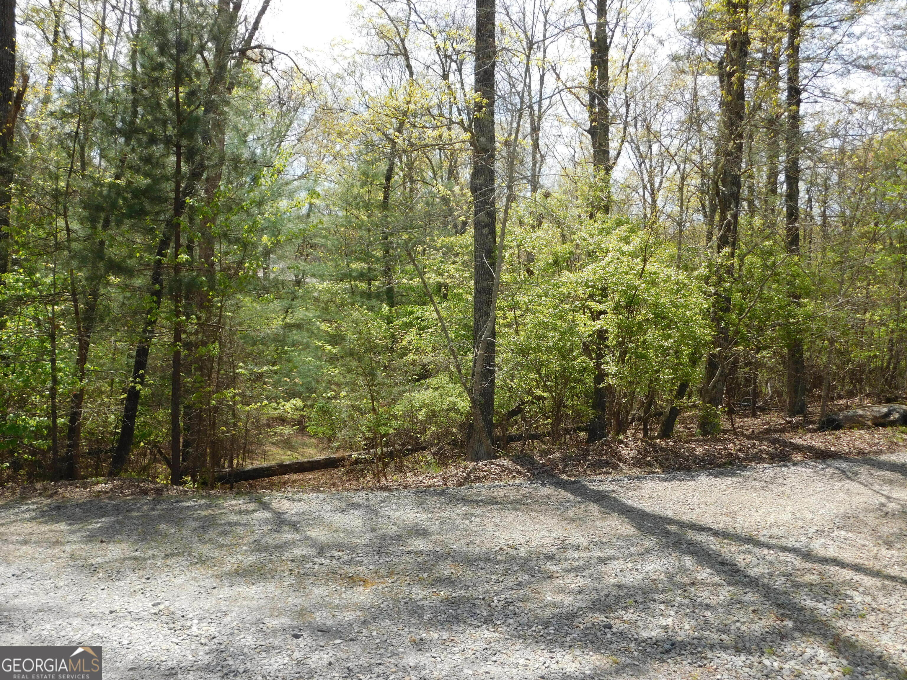 0 Dallas Lane Blue Ridge GA 30513