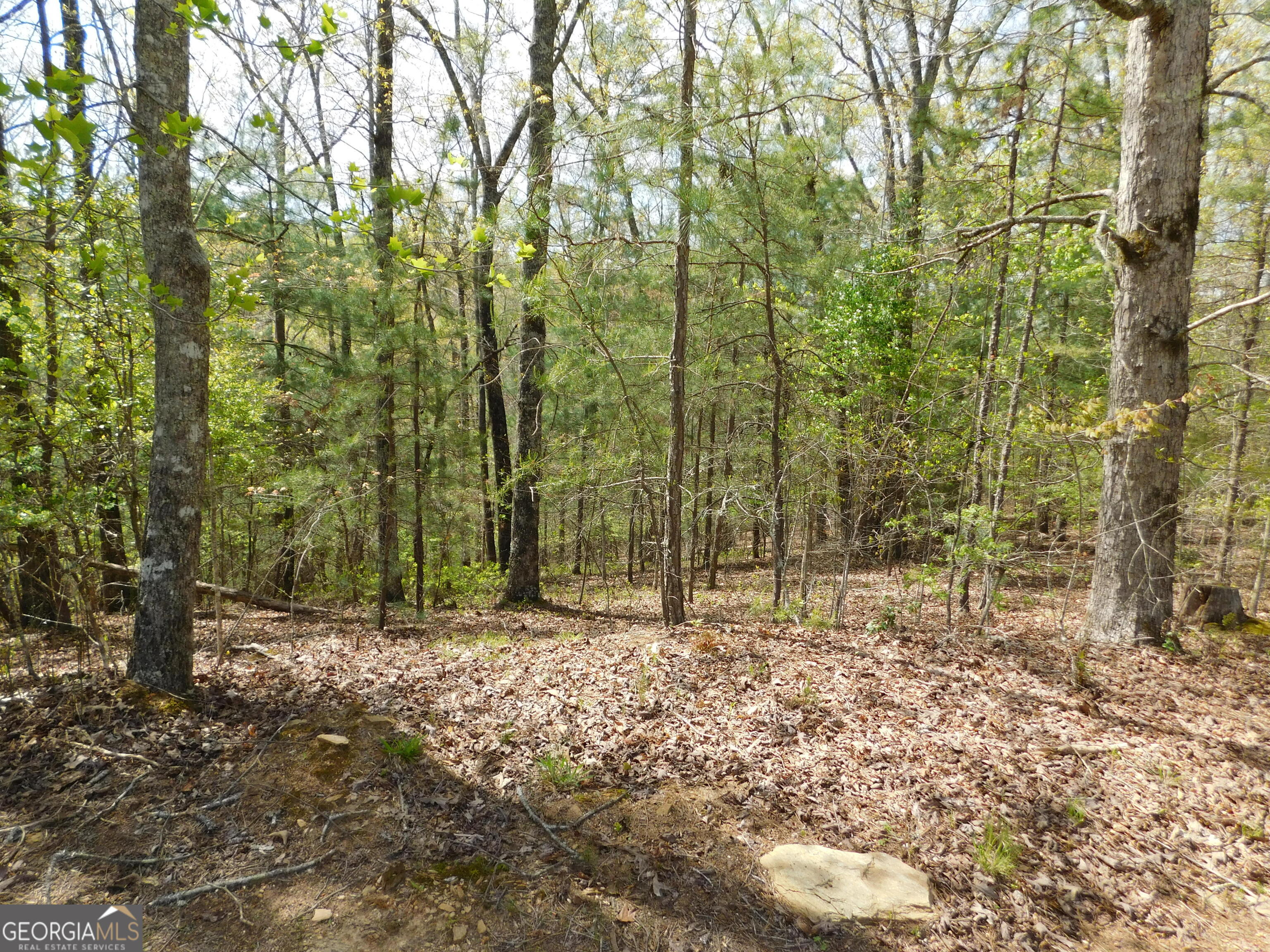 0 Dallas Lane Blue Ridge GA 30513