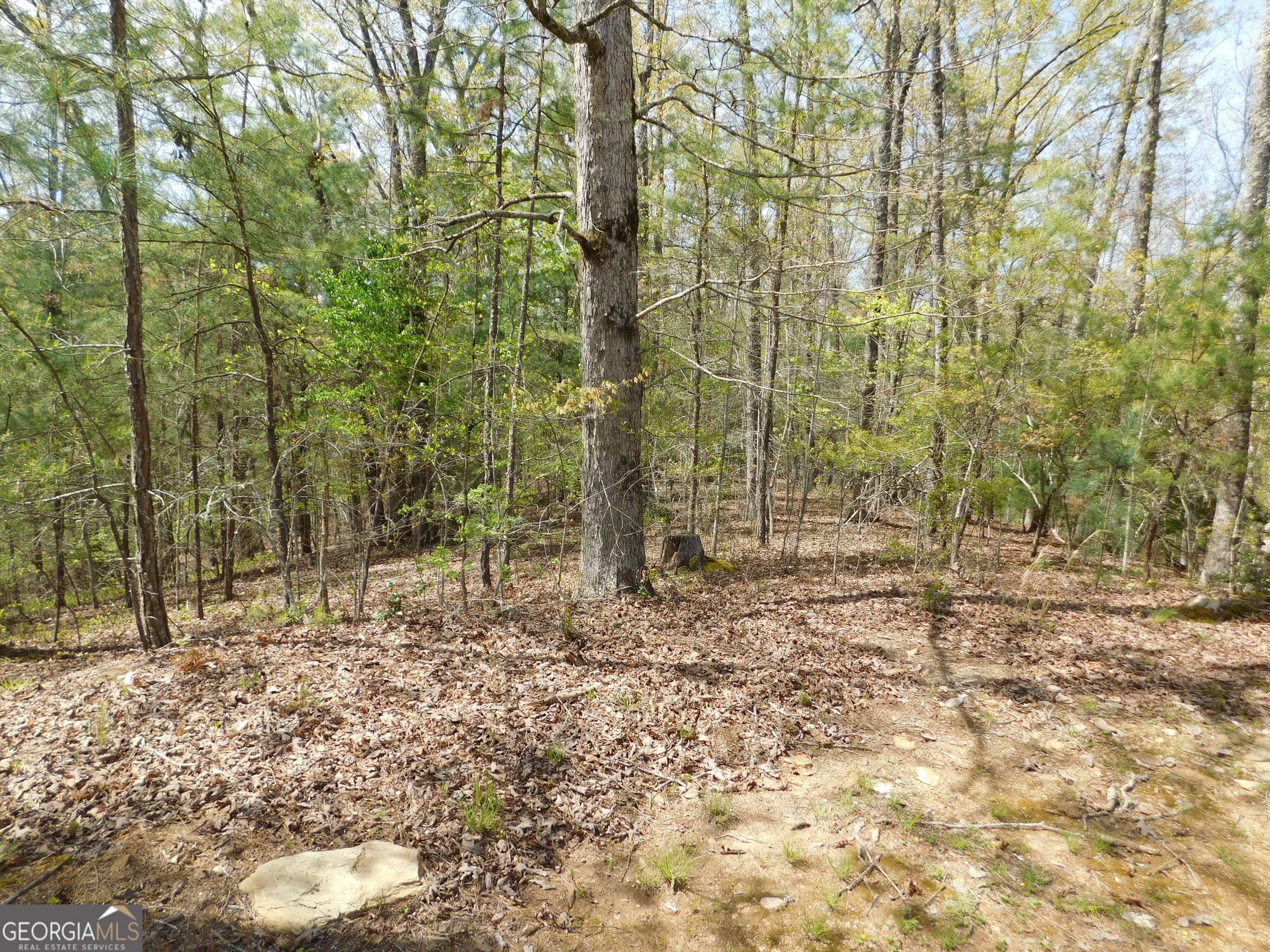 0 Dallas Lane Blue Ridge GA 30513