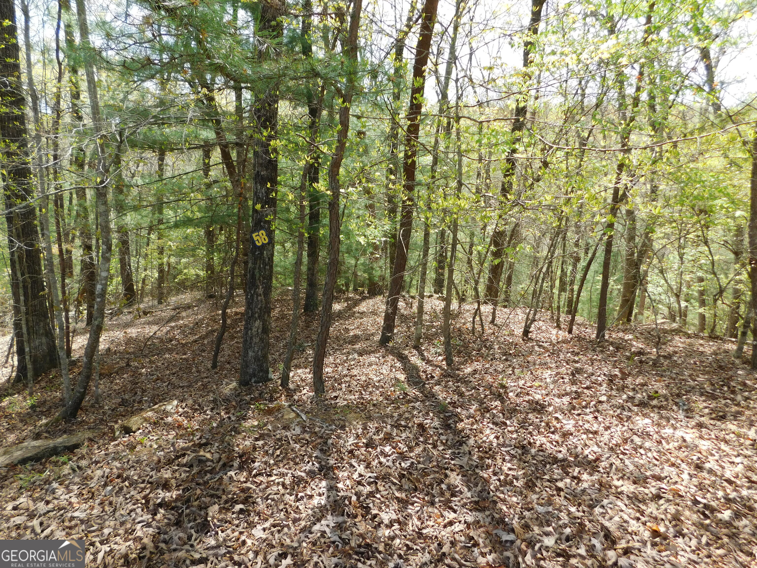 0 Dallas Lane Blue Ridge GA 30513