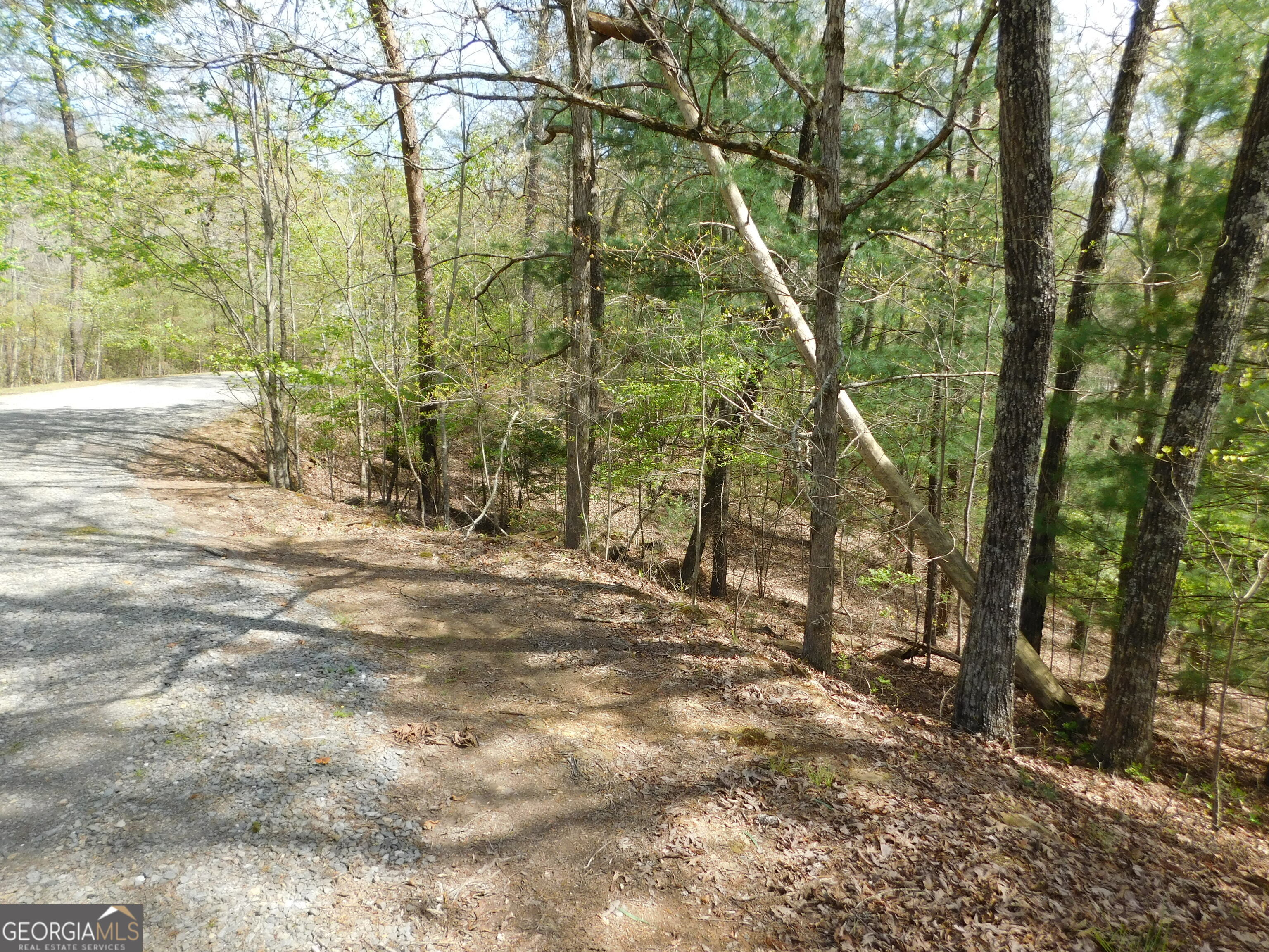 0 Dallas Lane Blue Ridge GA 30513